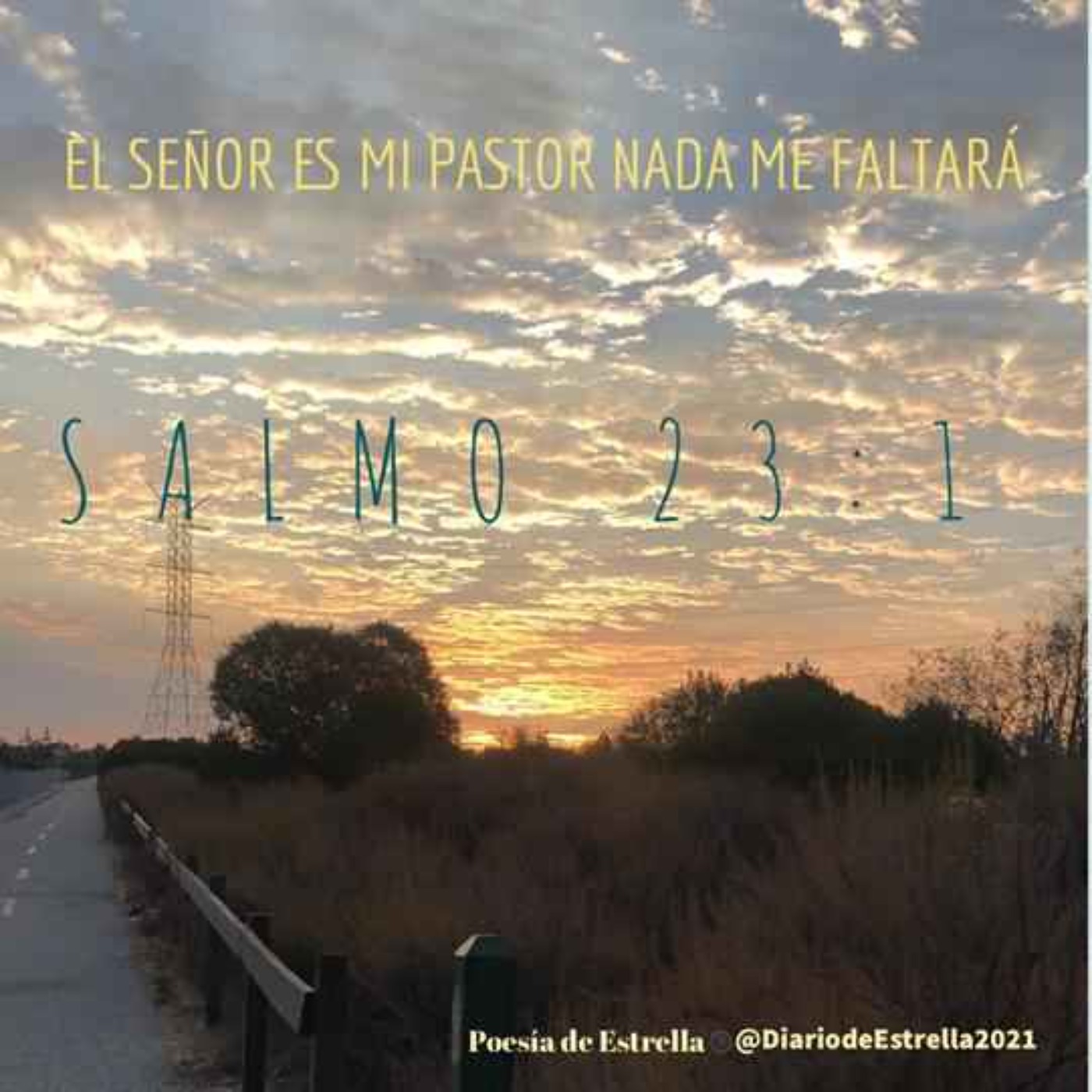 Salmo 23 Un Viaje a la Oración en Intimidad