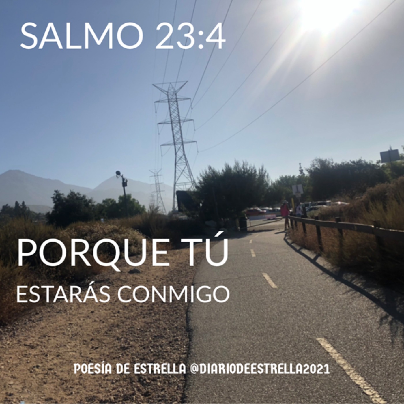 Salmo 23 Un Viaje a la Oración en Intimidad