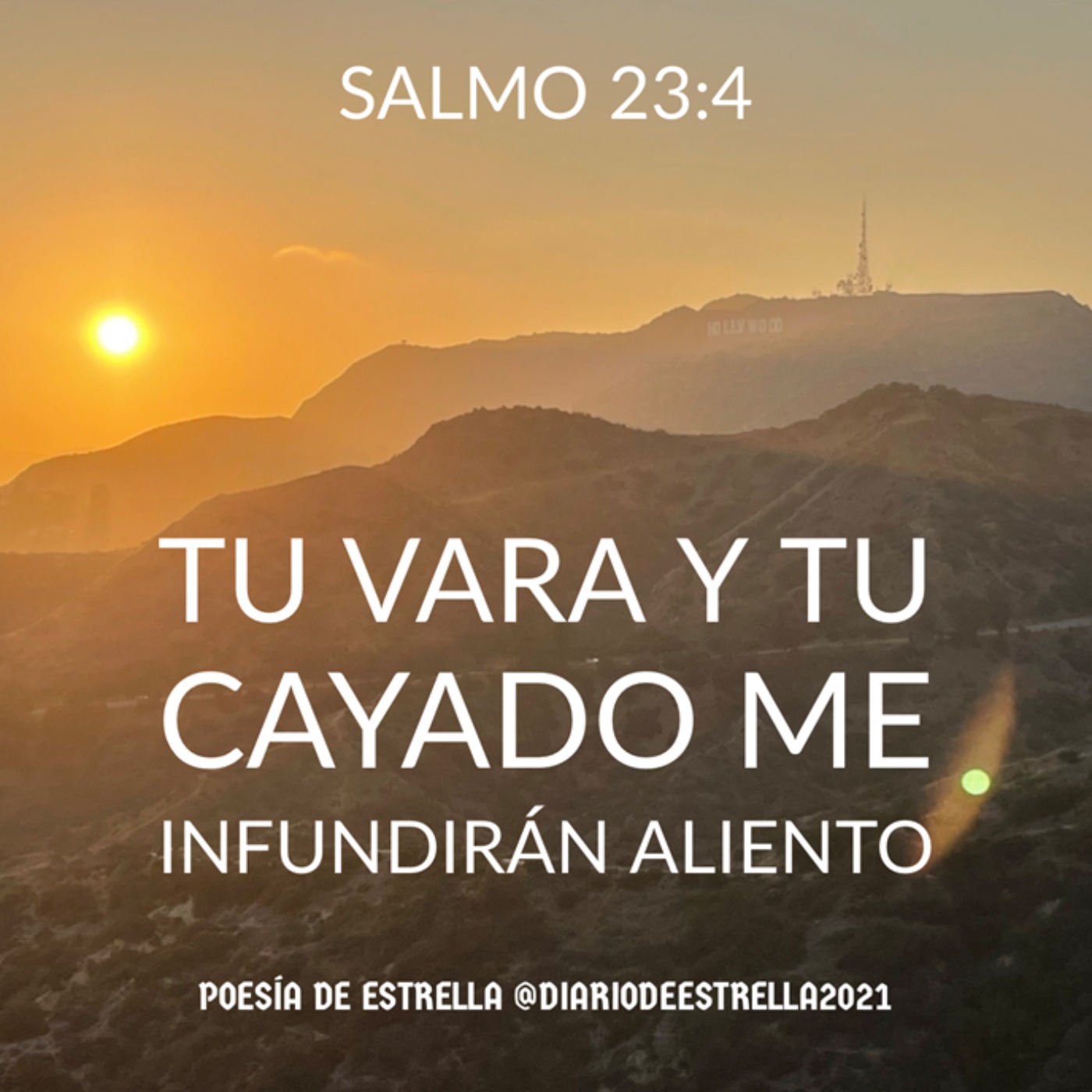 Salmo 23 Un Viaje a la Oración en Intimidad