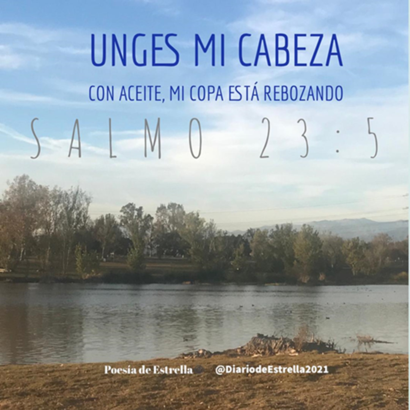Salmo 23 Un Viaje a la Oración en Intimidad