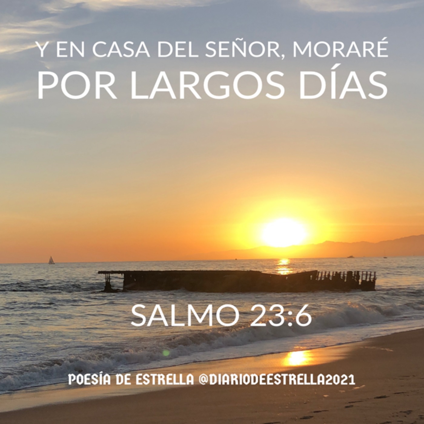 Salmo 23 Un Viaje a la Oración en Intimidad