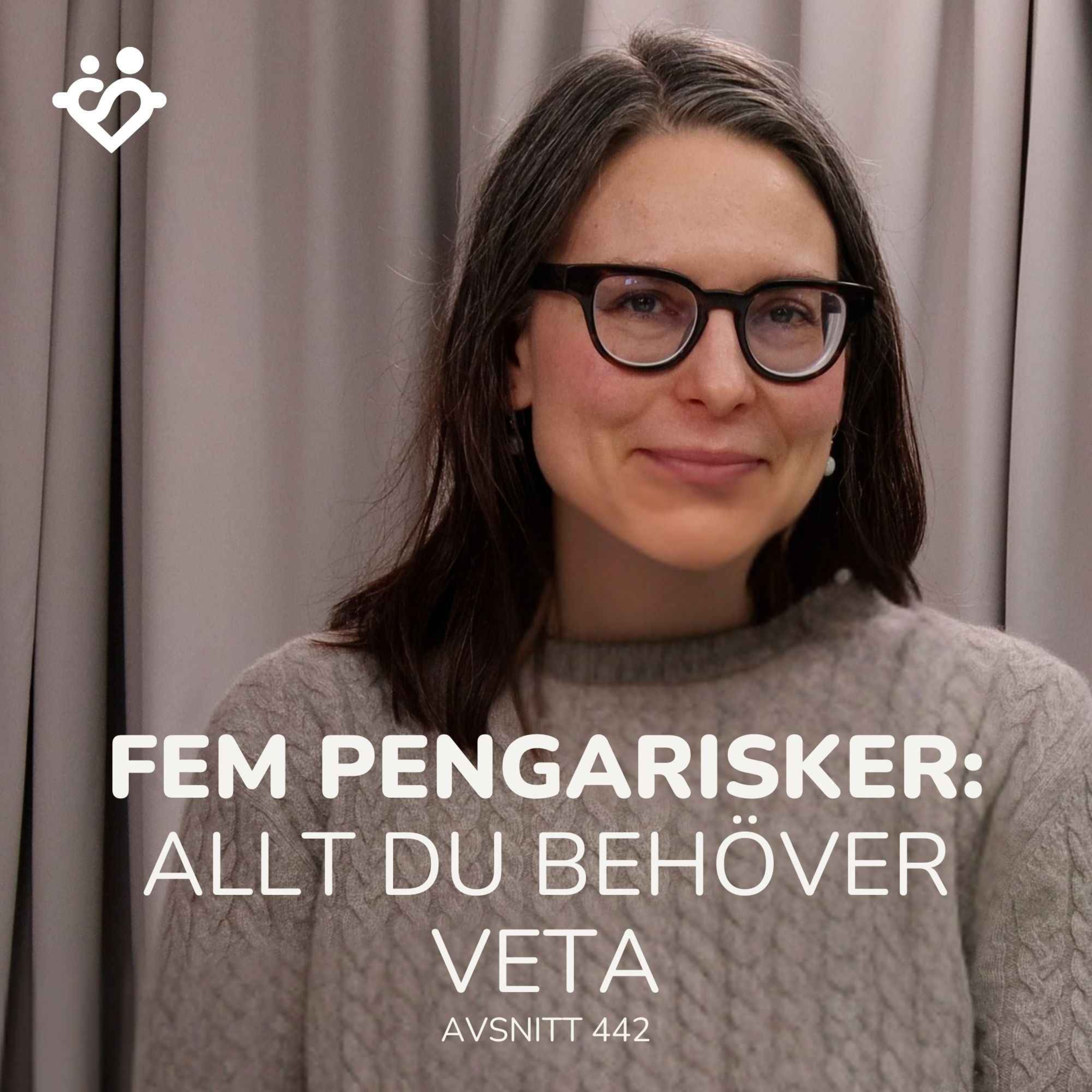 442. Fem pengarisker alla har att hantera | Allt du behöver veta om risk 2026