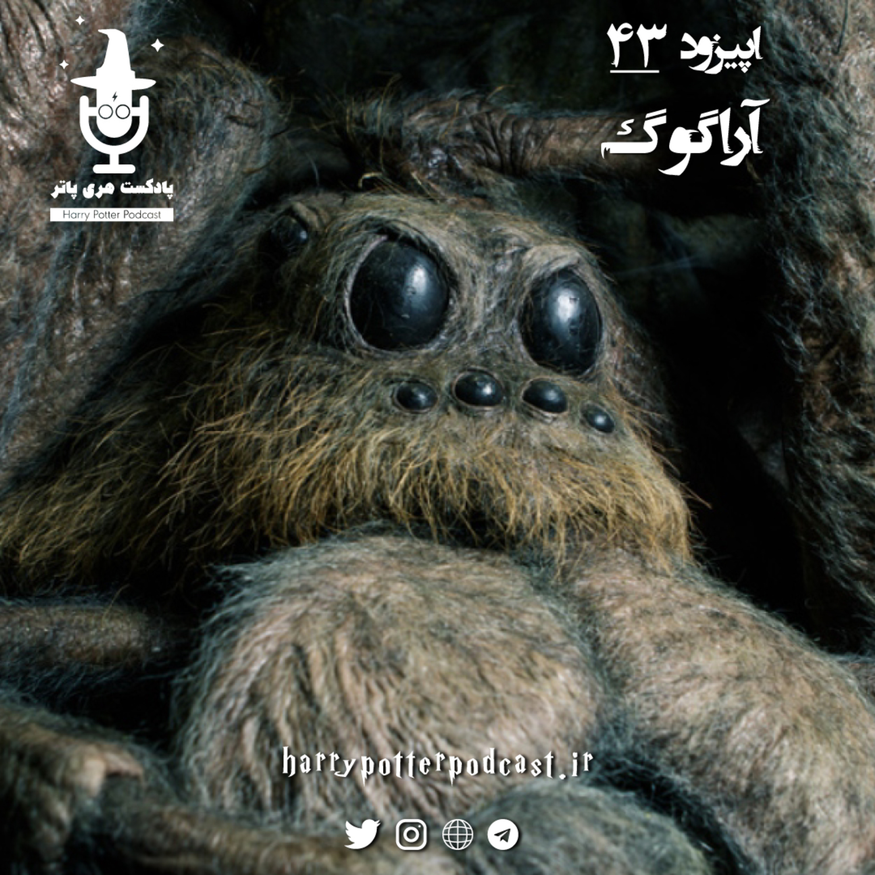 پادکست فارسی هری پاتر | Harry Potter Podcast - اپیزود چهل و سوم - آراگوگ