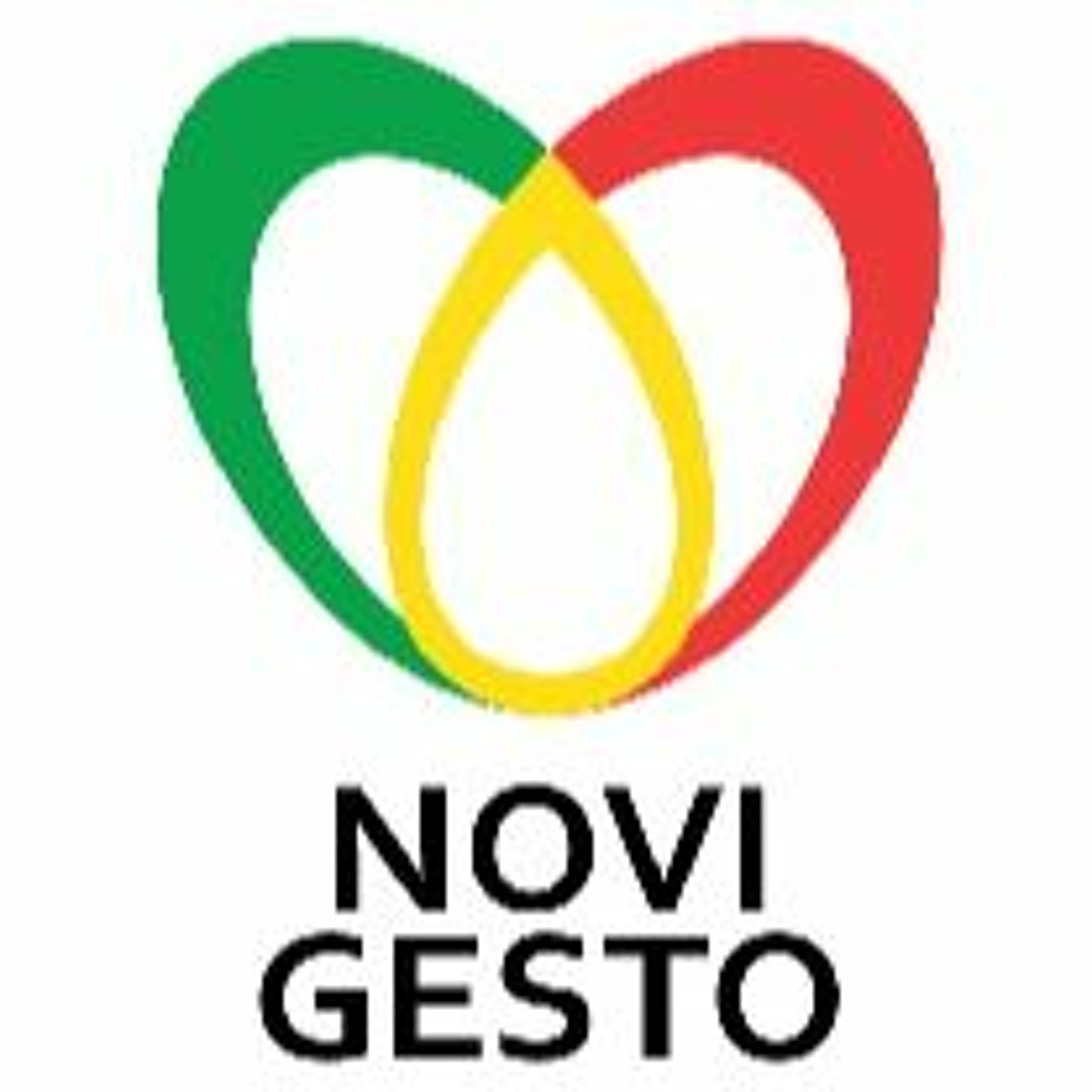 Novigesto