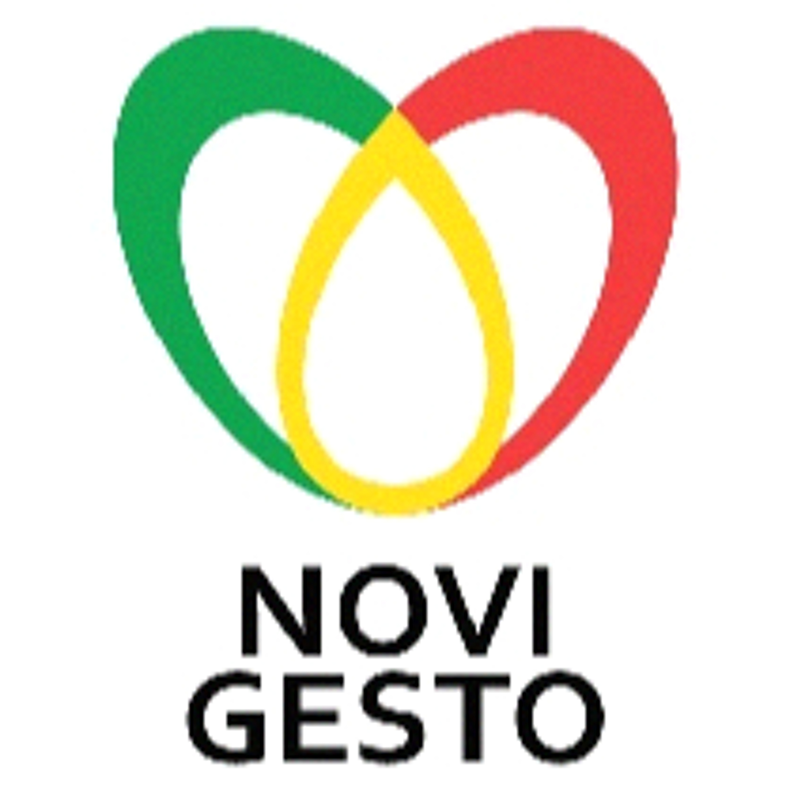 Novigesto