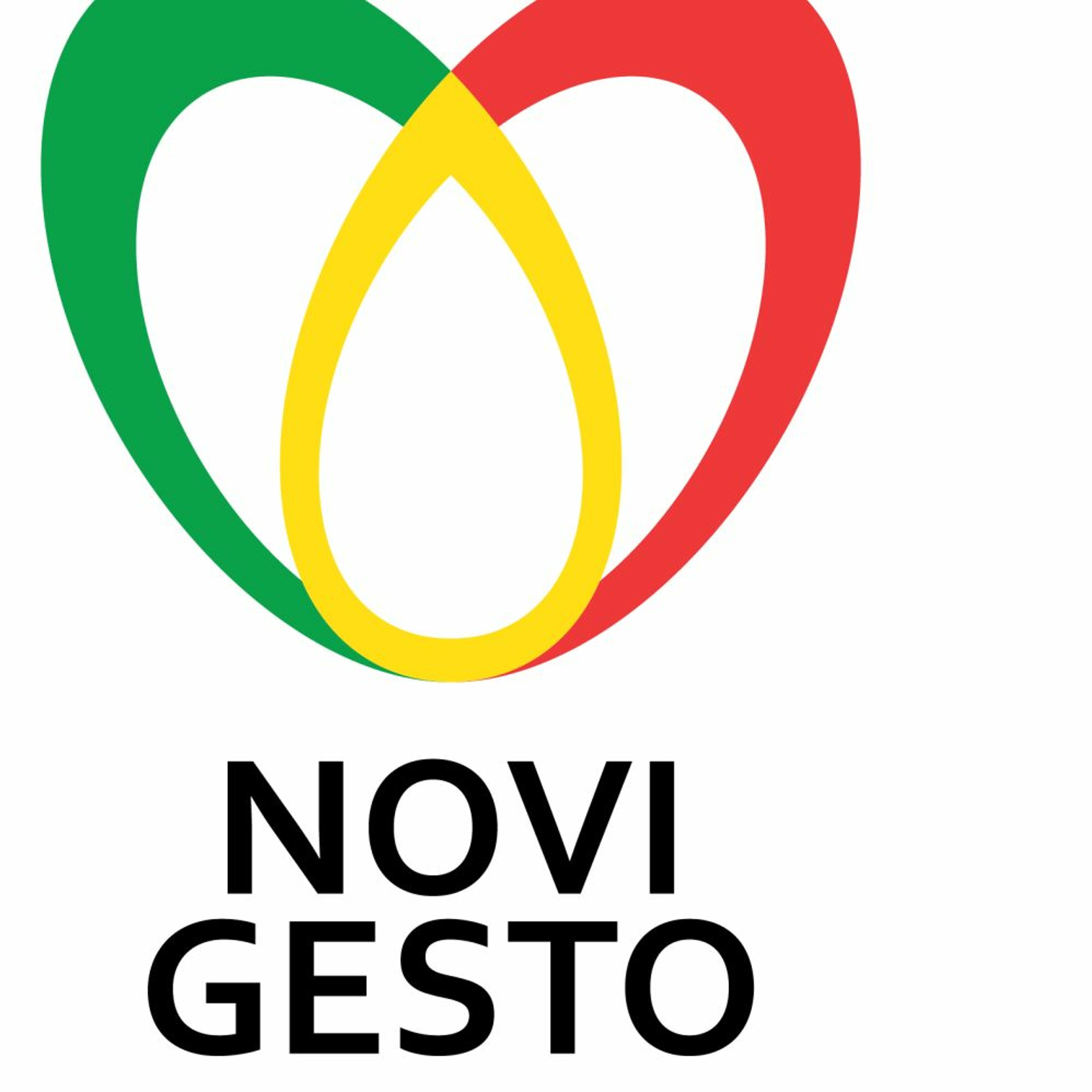Novigesto