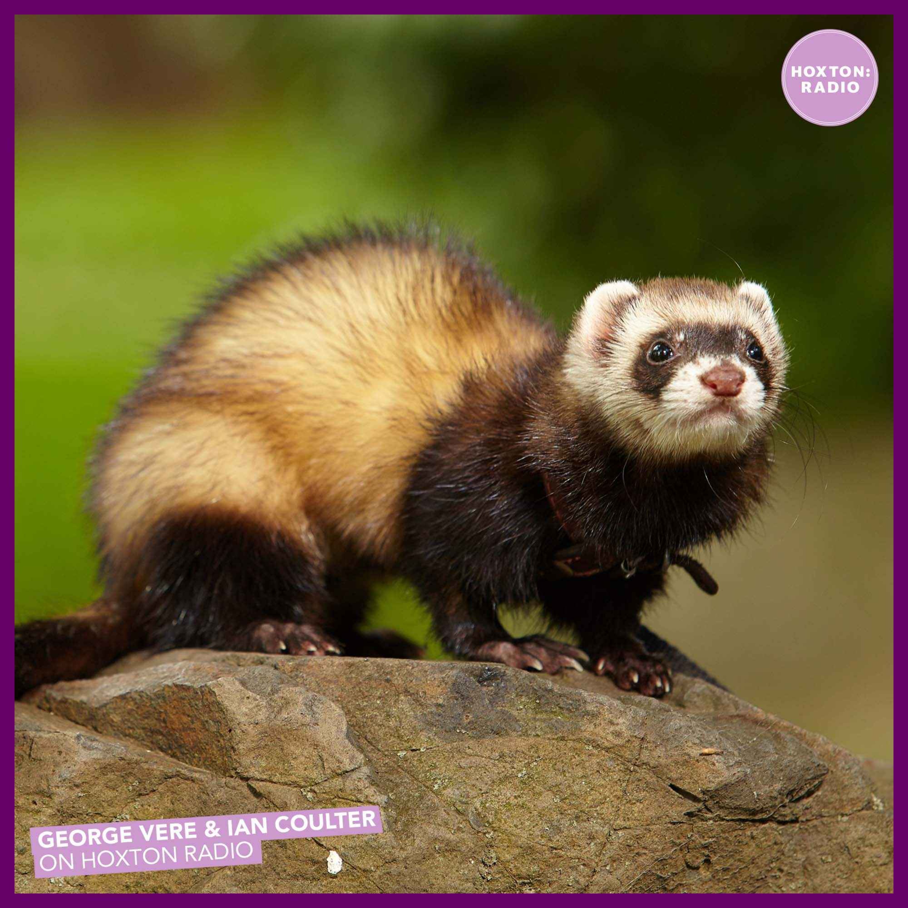 George Vere & Ian Coulter on Hoxton Radio