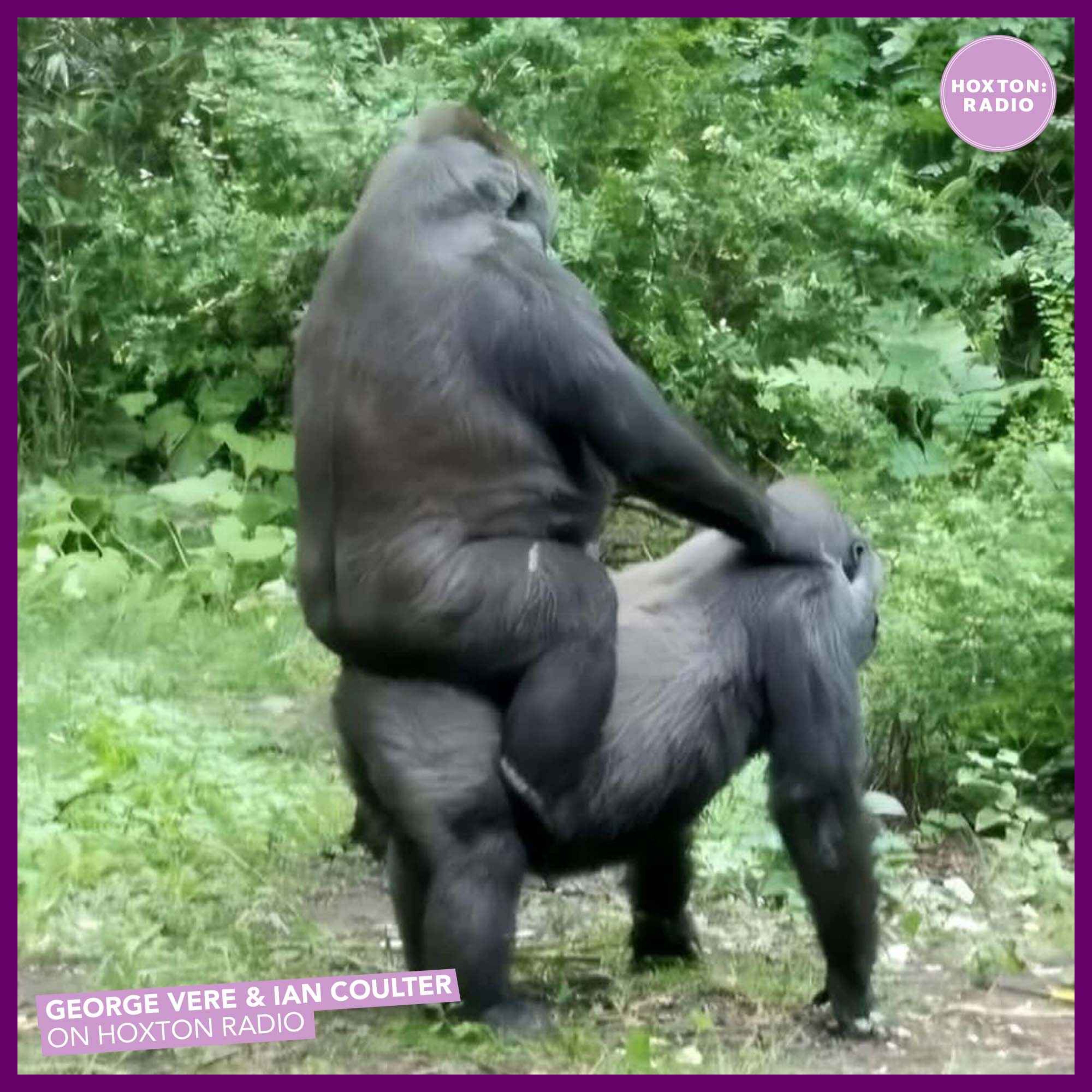 George Vere & Ian Coulter on Hoxton Radio