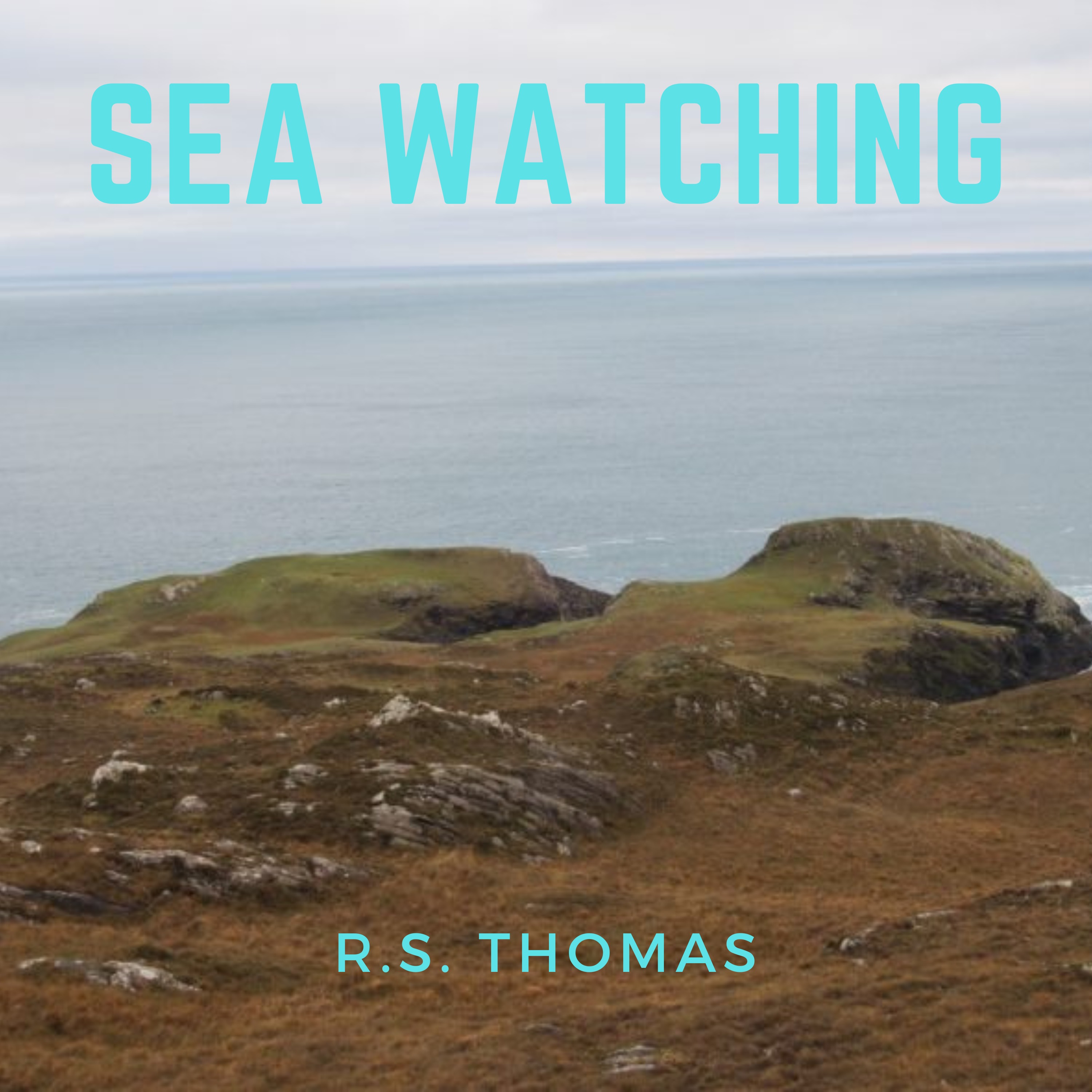 RS Thomas, Sea Watching episode artwork