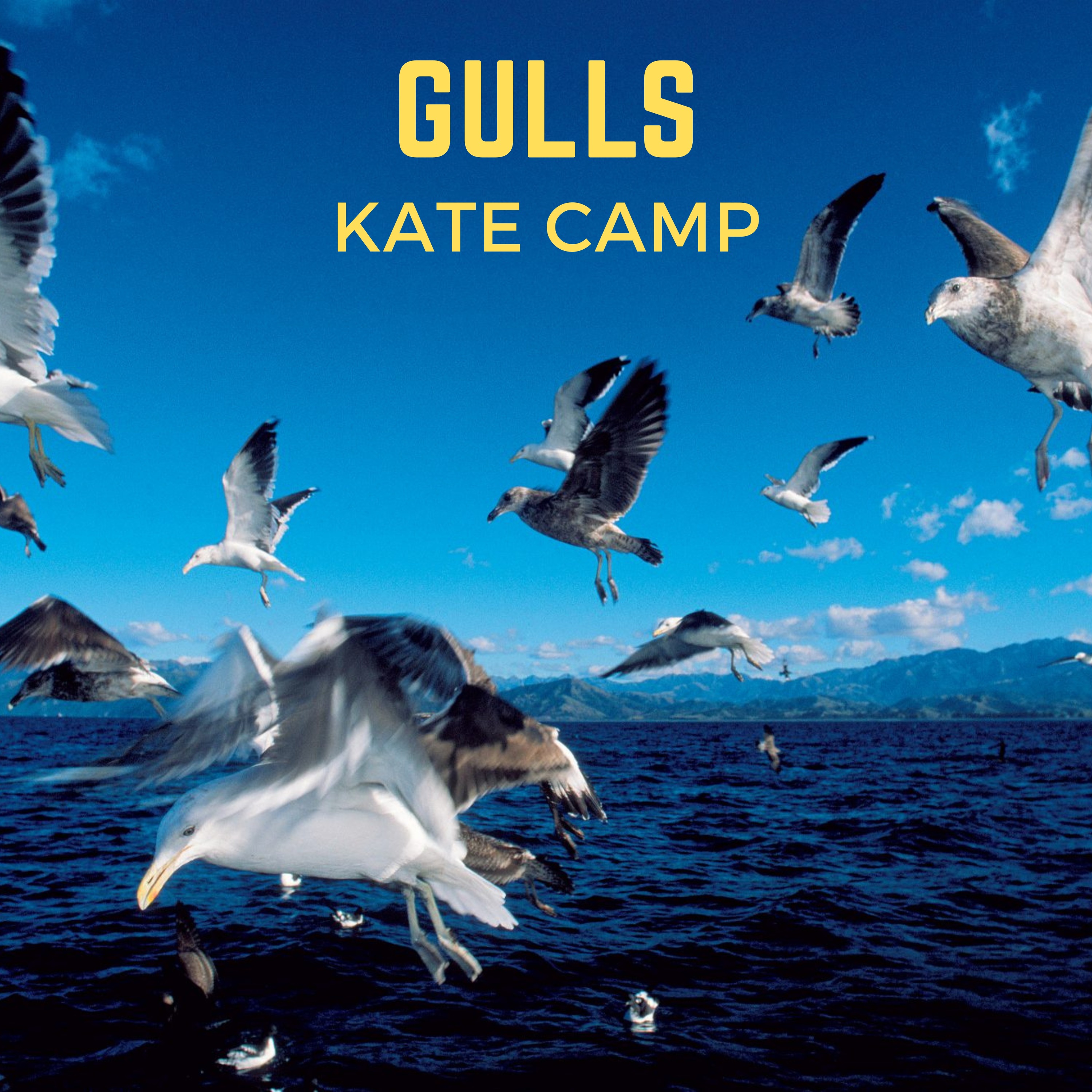Kate Camp, "Gulls" episode artwork