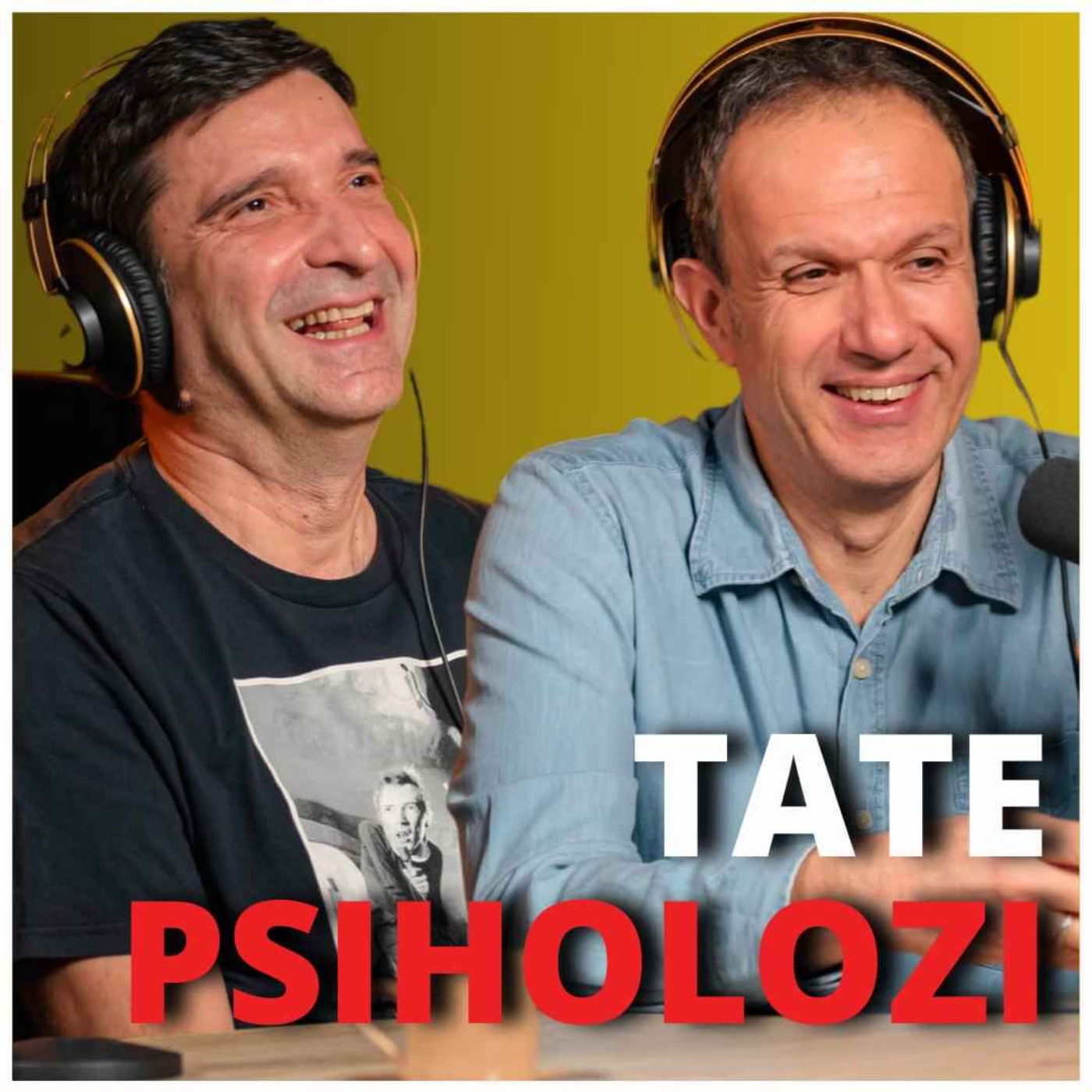 Zdrava Priča 016 - TATE PSIHOLOZI: Dragan Ilić i Miša Stojiljković episode artwork