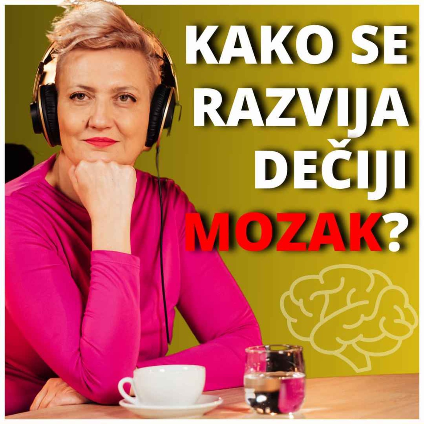 Zdrava priča 019: Irena Orlović - Kako se razvija dečiji mozak? episode artwork