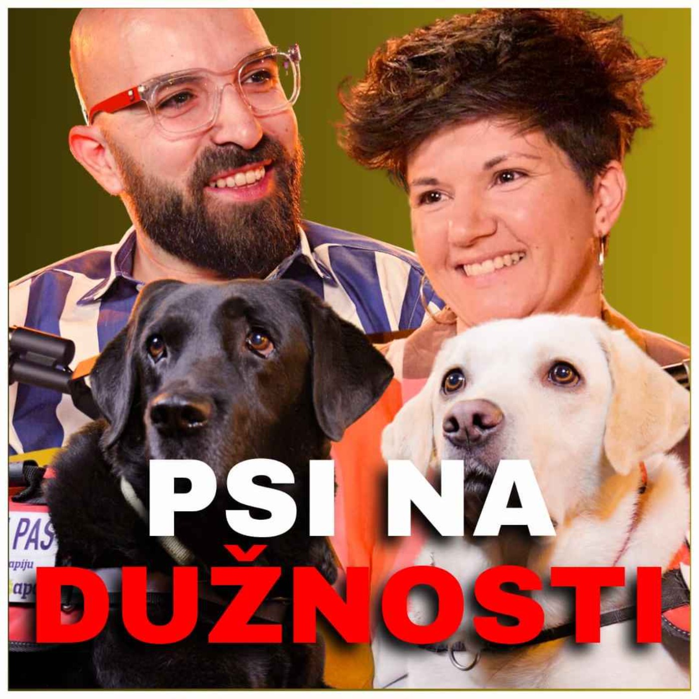 Zdrava Priča 022 - Psi na dužnosti - Jelena Blagojev Stevin i Svetozar Stevin episode artwork