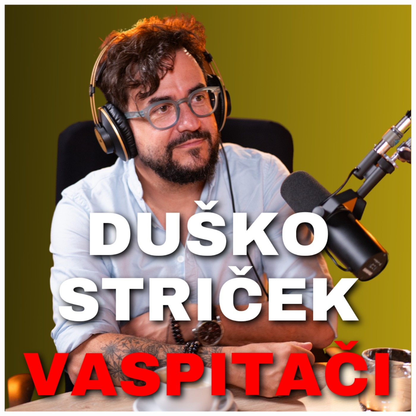 Zdrava priča 027: Duško Ilijević - Oda vaspitačima: Striček Duško episode artwork
