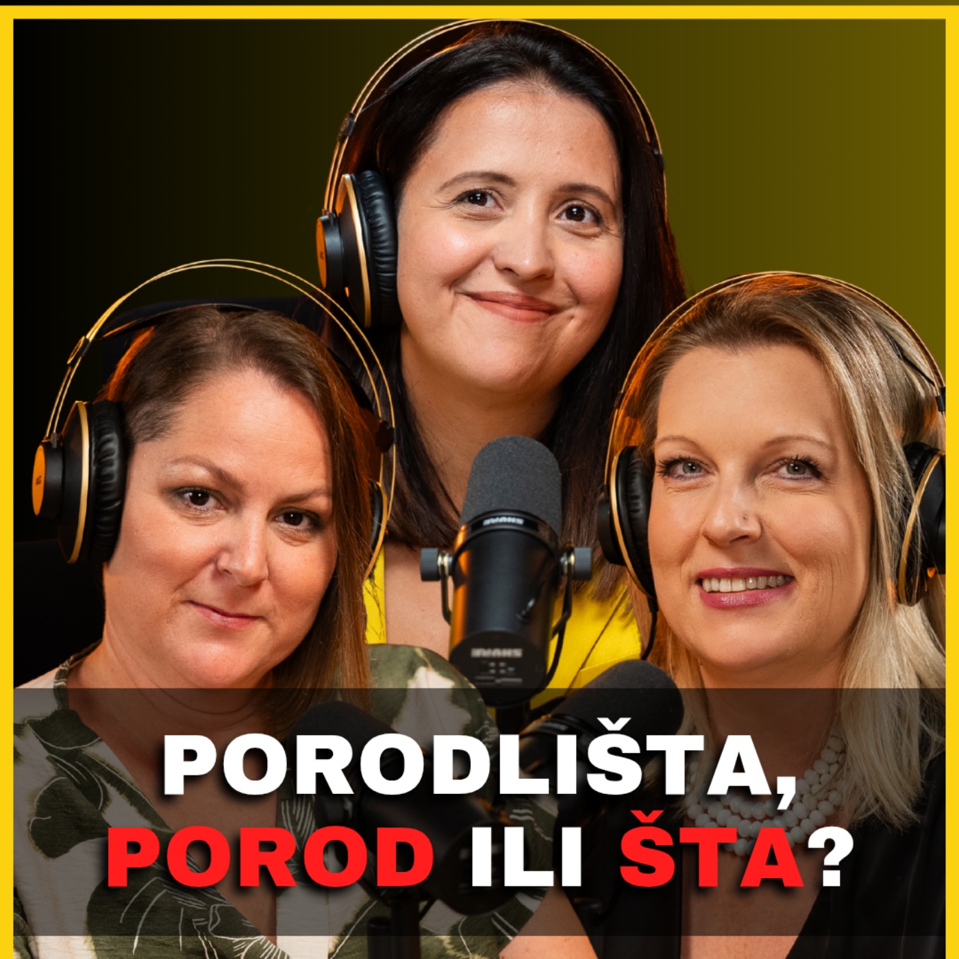 Zdrava priča 050: Akušersko nasilje episode artwork
