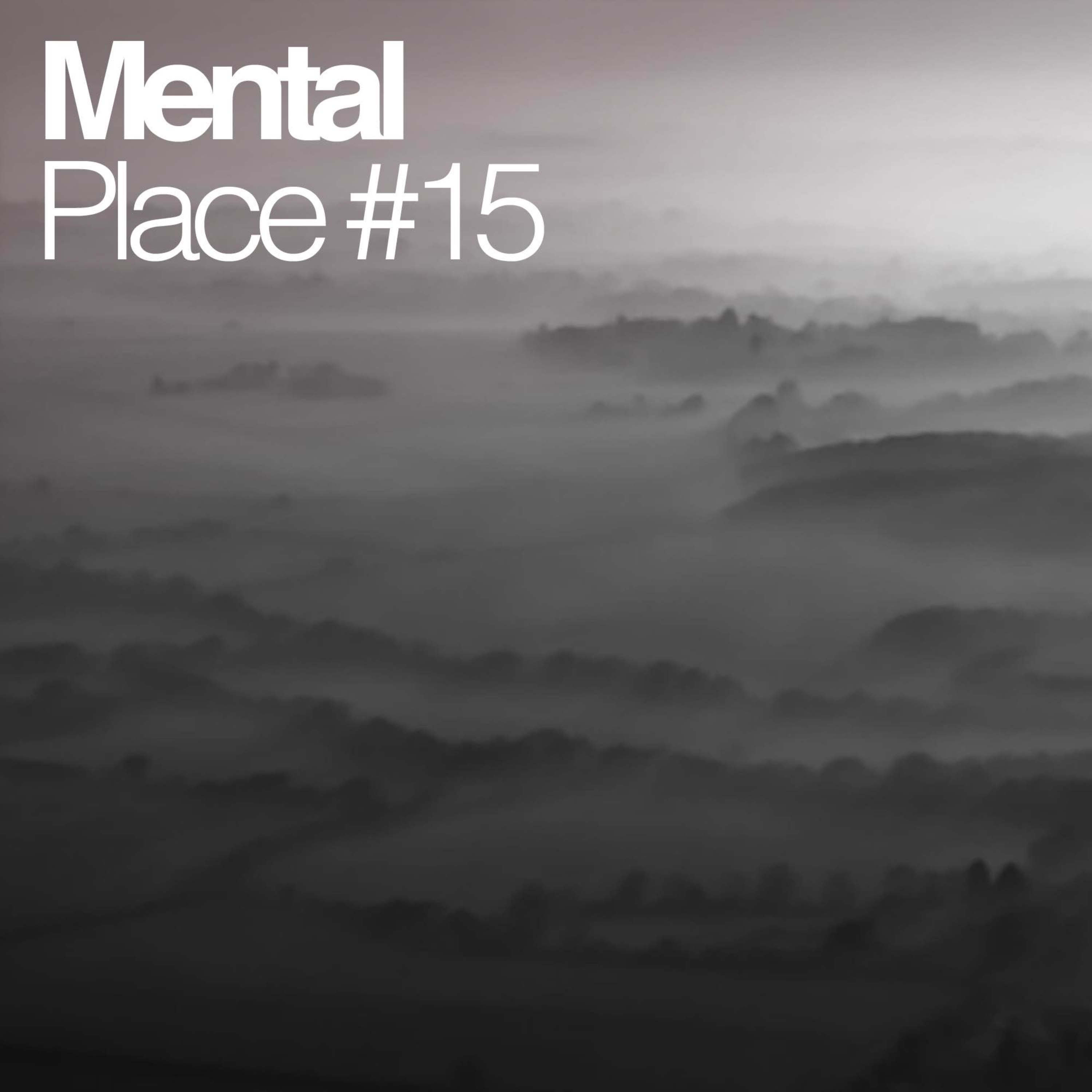 cover art for Mental Place #15