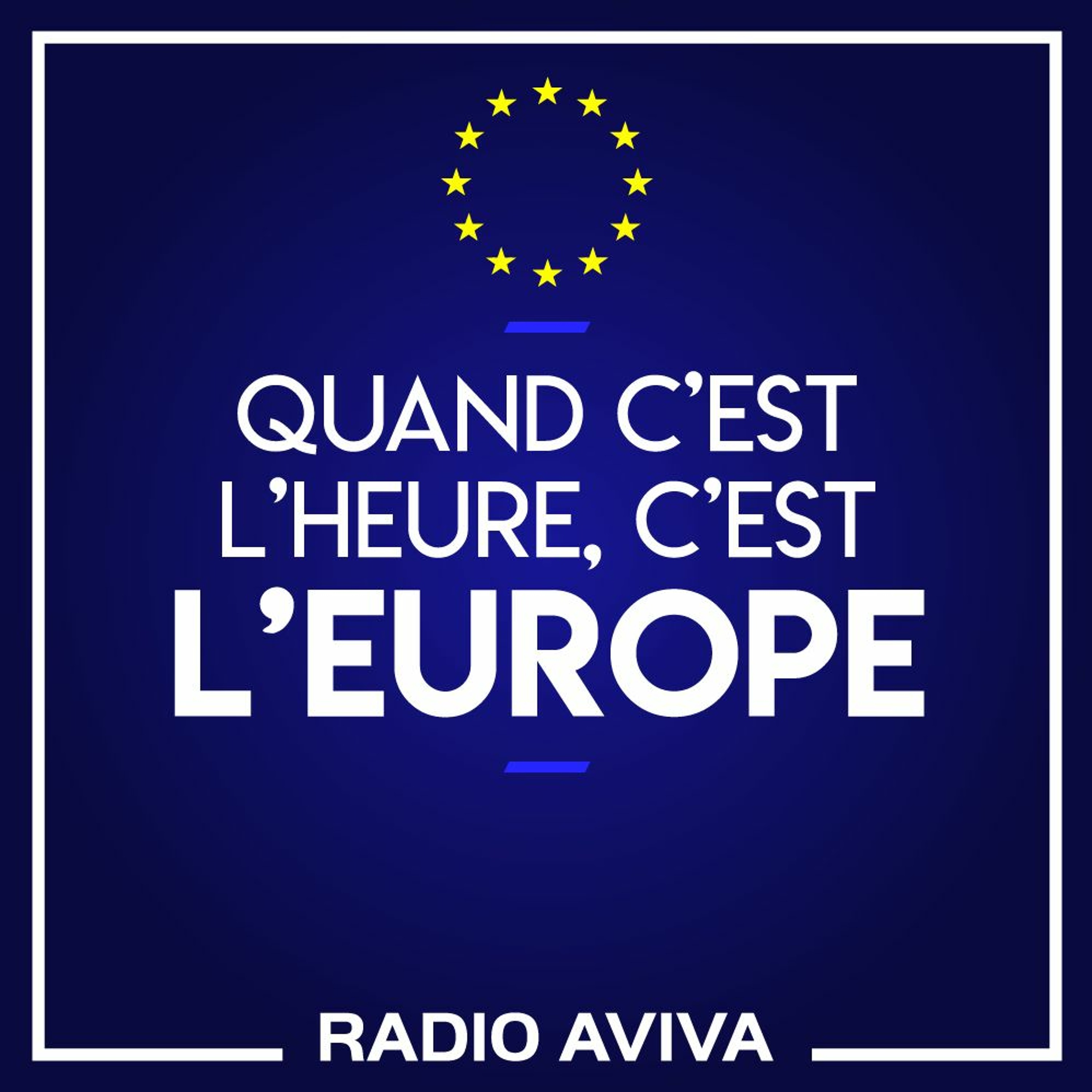 M NAEPELS, CHARGEE DE MISSION MAISON EUROPE - PROJET DE SOLIDARITE - 220922 episode artwork