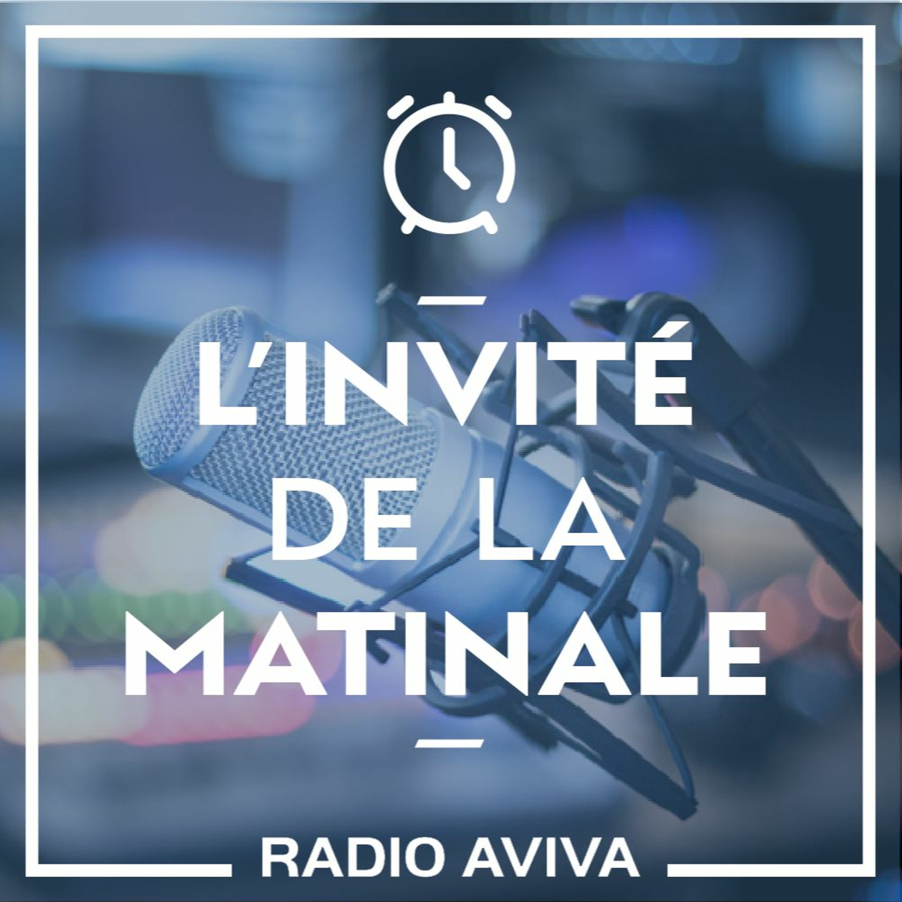 DOMINIQUE JANSANA - LES ENFANTS DE SAKABY ET D'AILLEURS, BRADERIE - 131022 - INVITE MATINALE episode artwork
