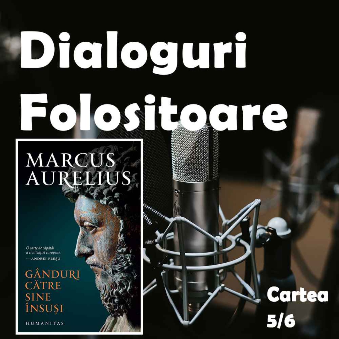 cover art for Discutam cartea "Ganduri catre sine insusi" de Marcus Aurelius