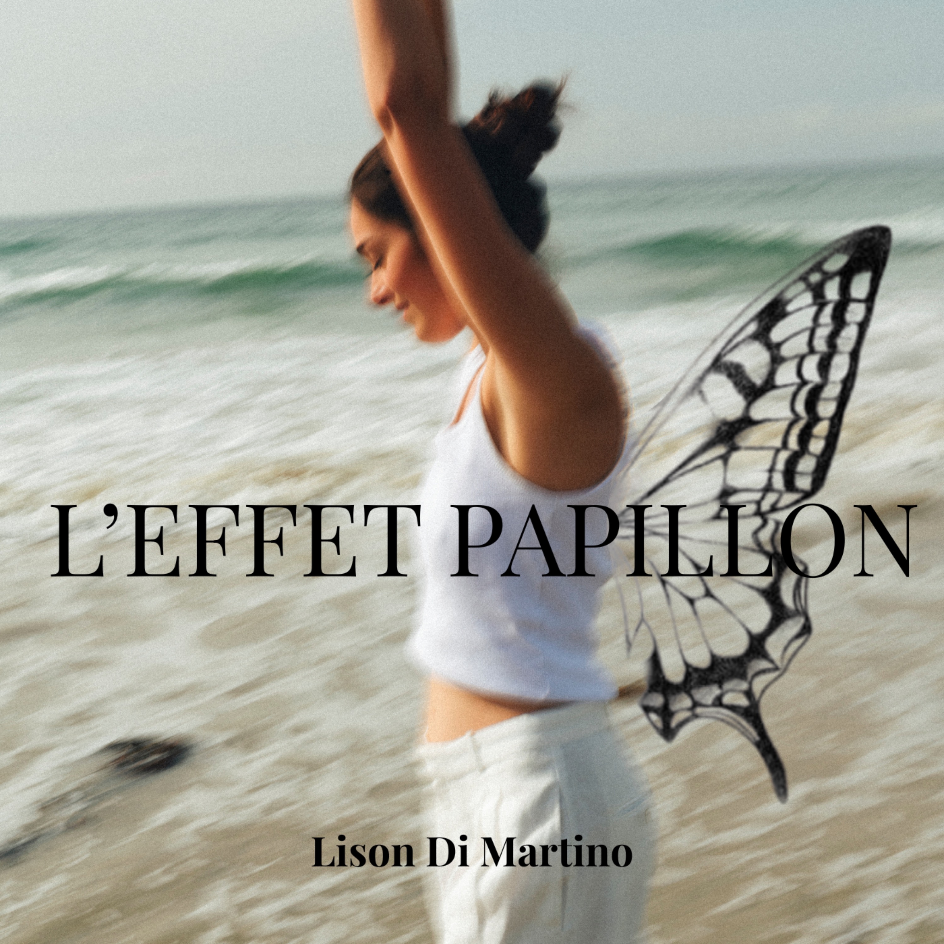 L\'EFFET PAPILLON