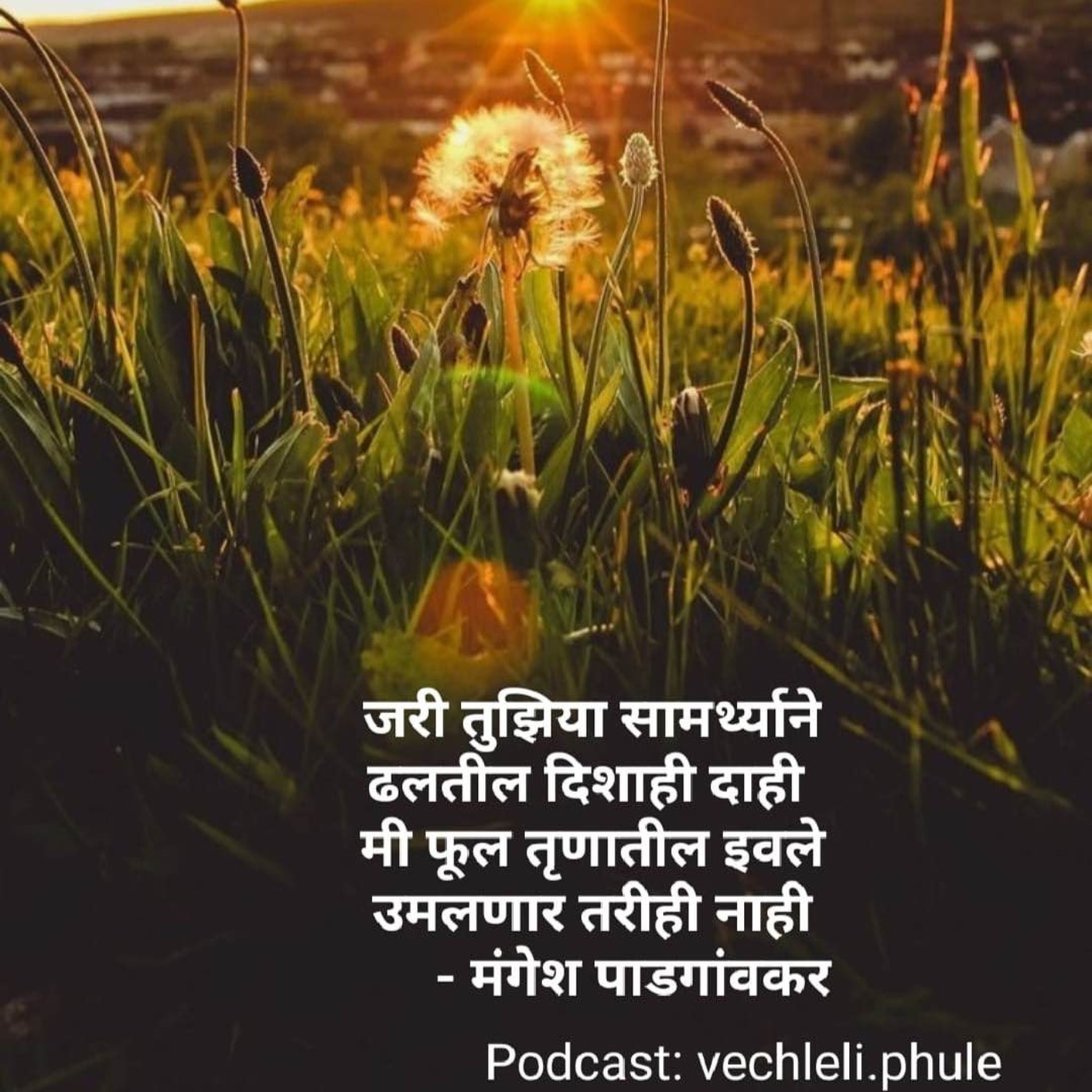 Vechleli Phule | वेचलेली फुले - Marathi Podcast