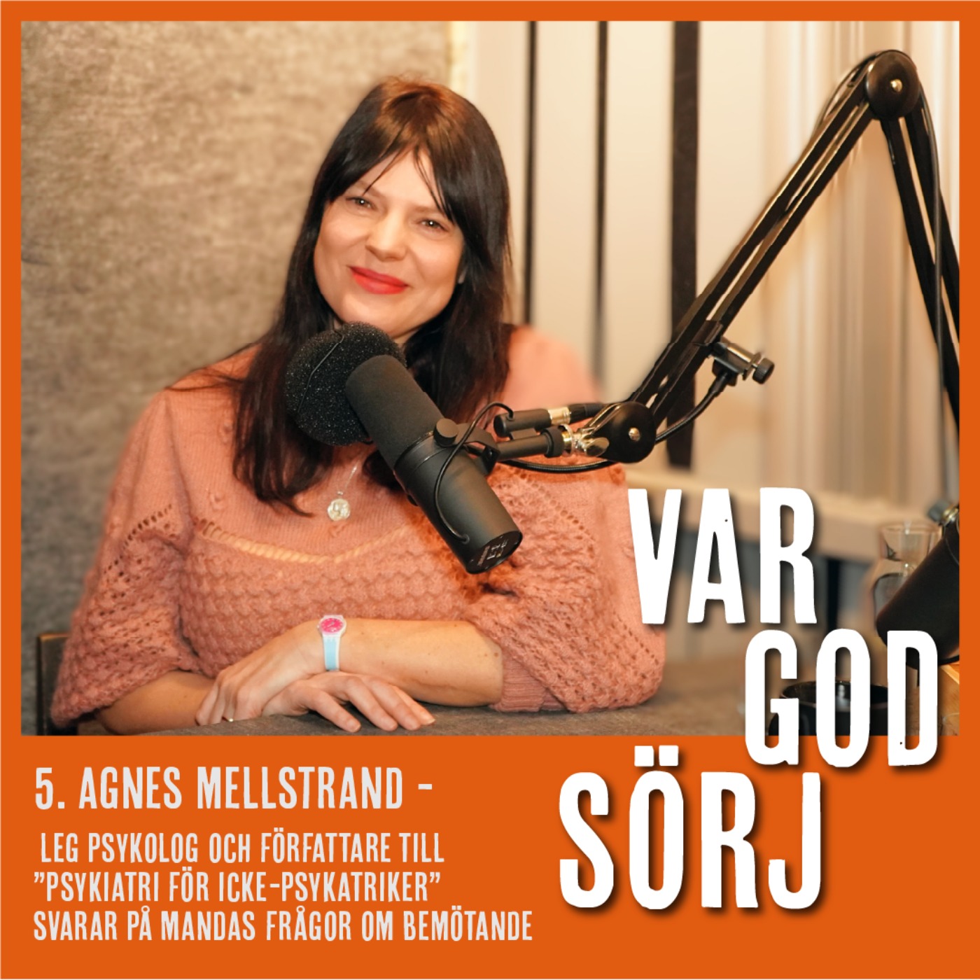 Var god sörj