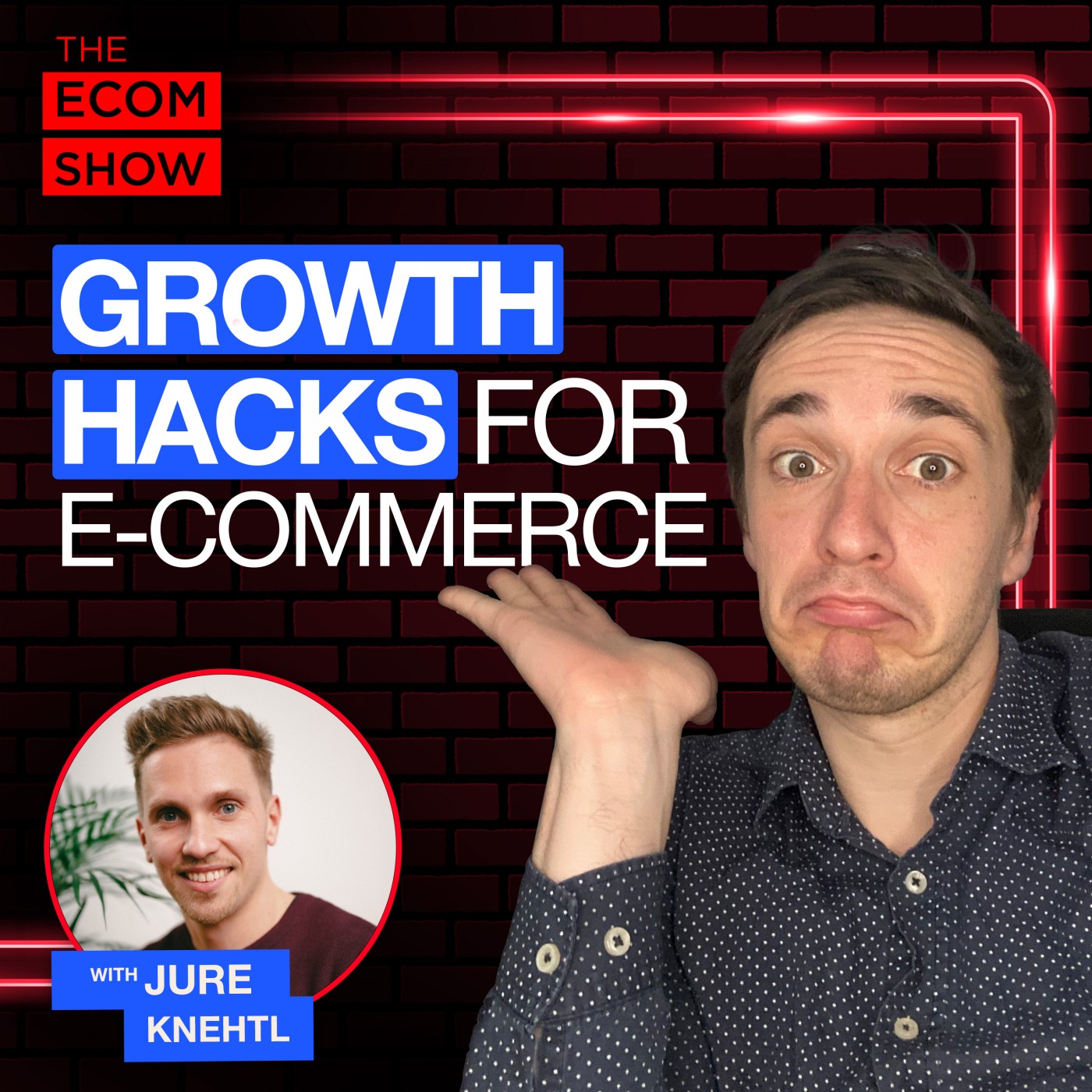 The Ecom Show