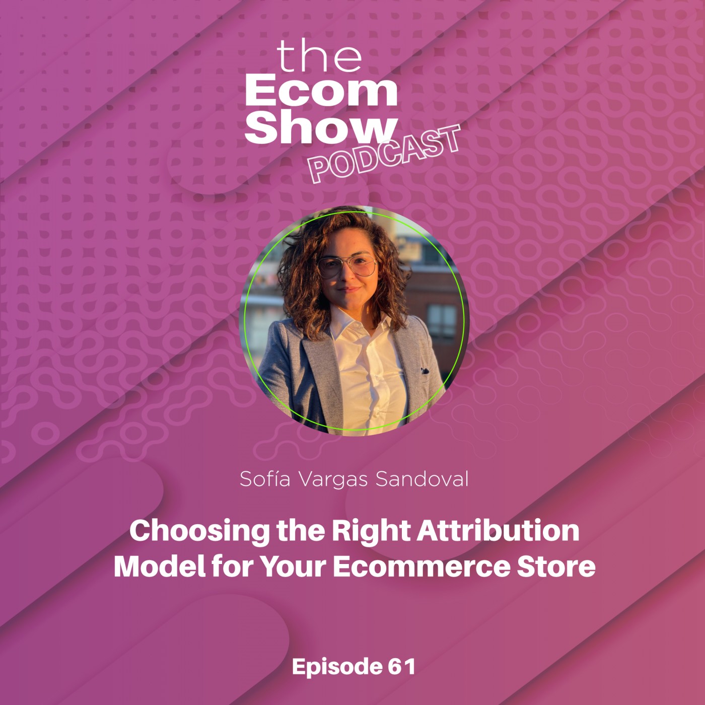 The Ecom Show
