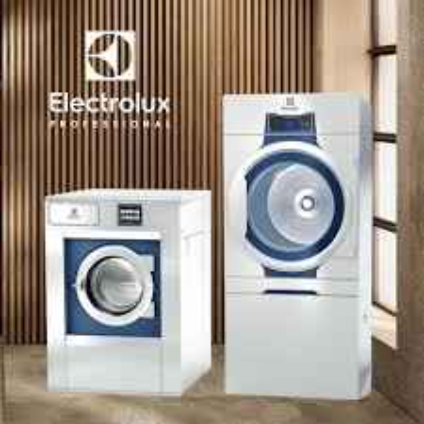 Electrolux Professional