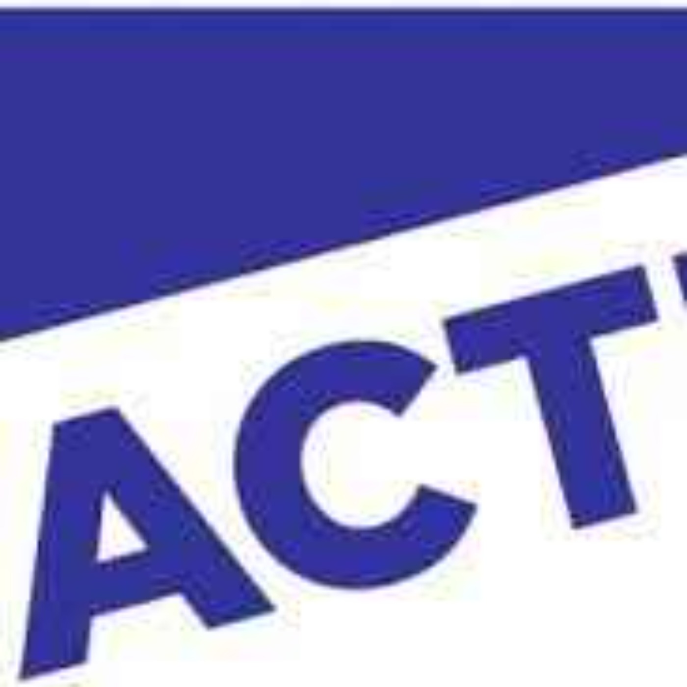 Actic Group
