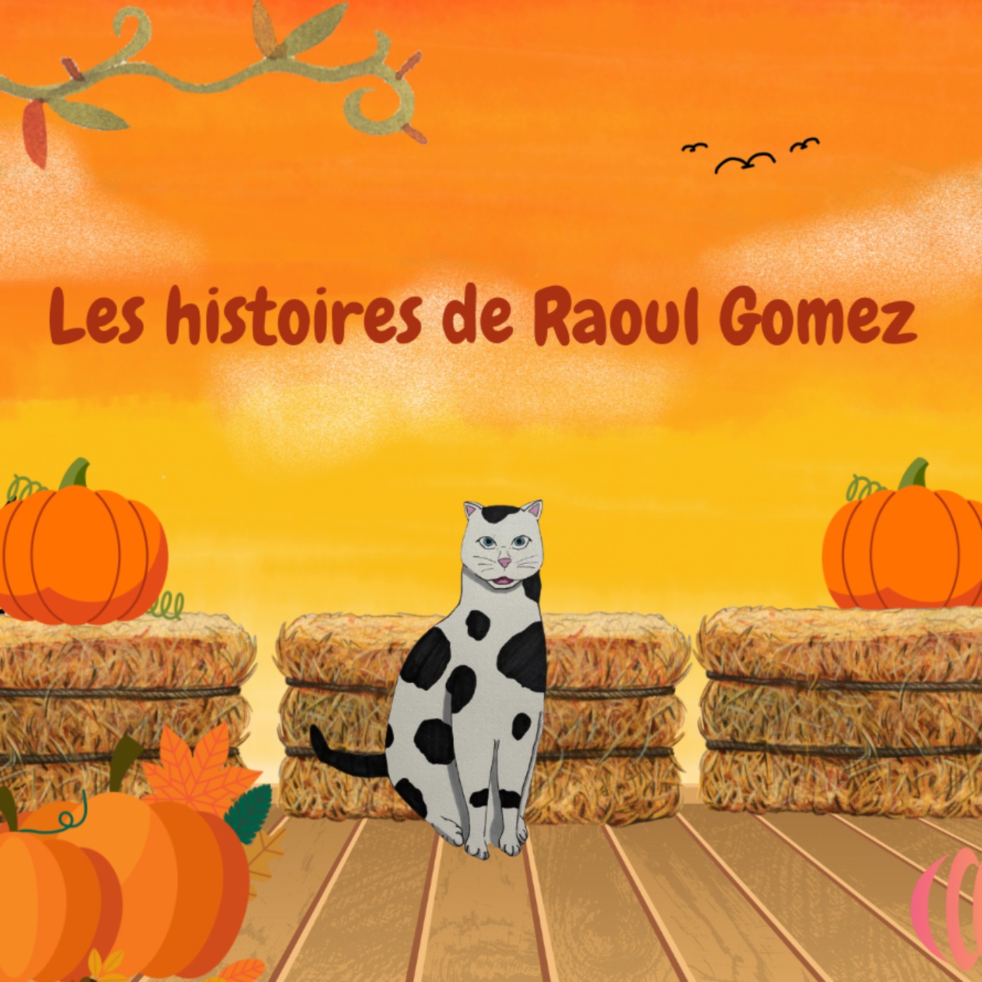 Les Histoires de Raoul Gomez