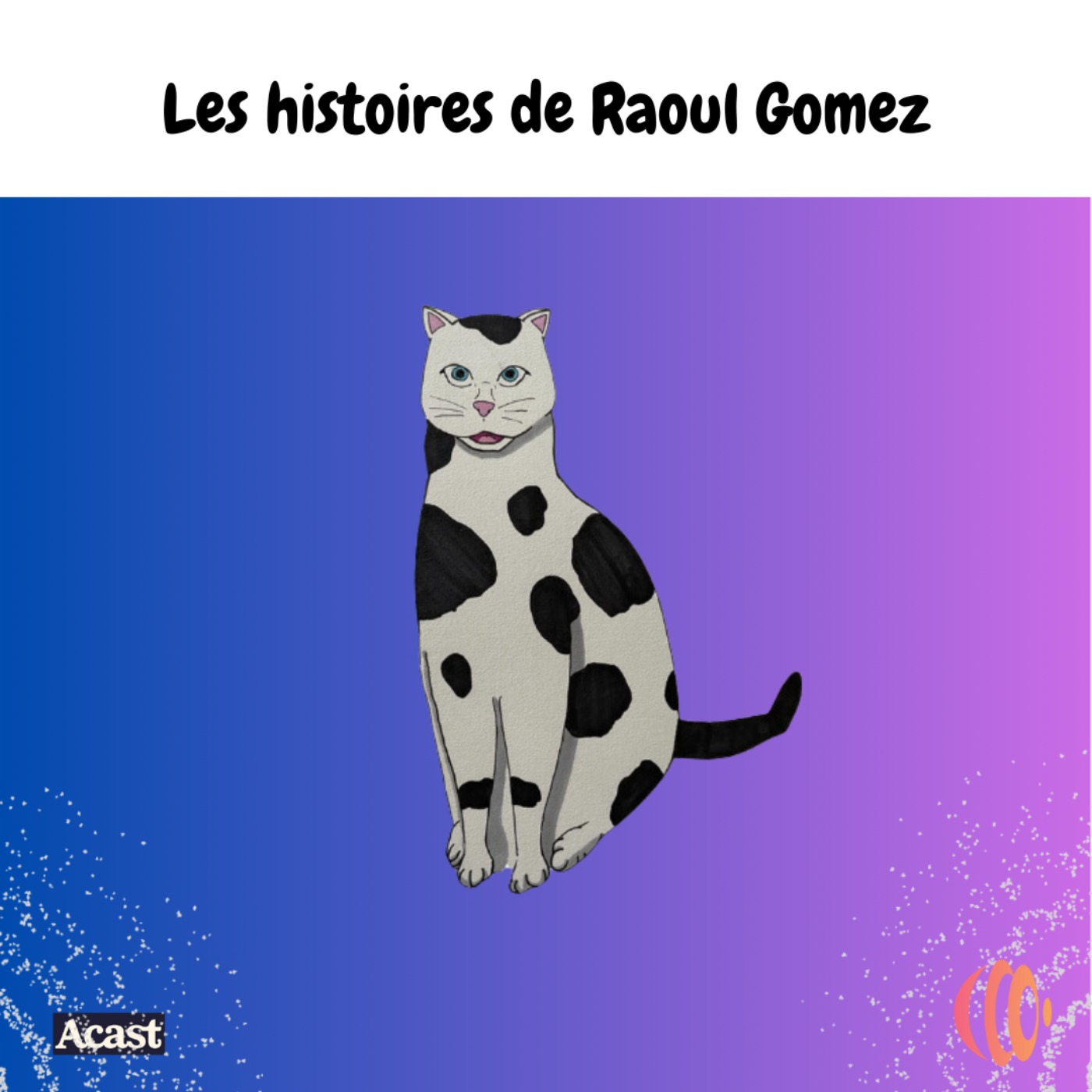 Les Histoires de Raoul Gomez