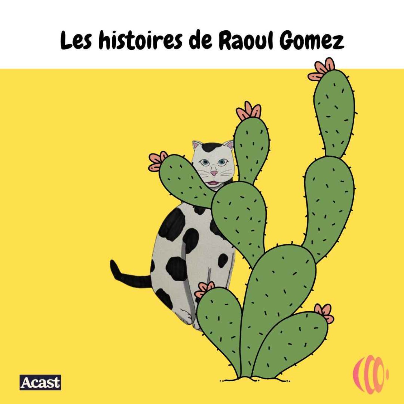 Les Histoires de Raoul Gomez