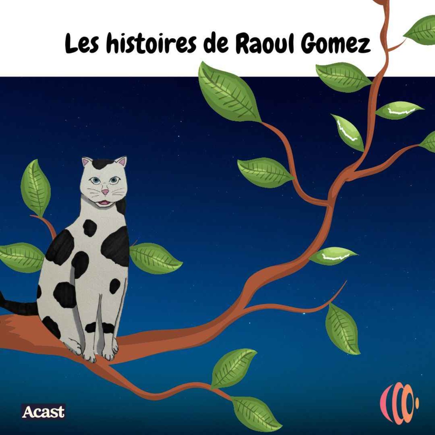 Les Histoires de Raoul Gomez