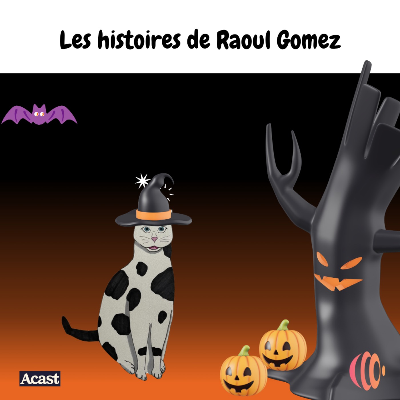 Les Histoires de Raoul Gomez