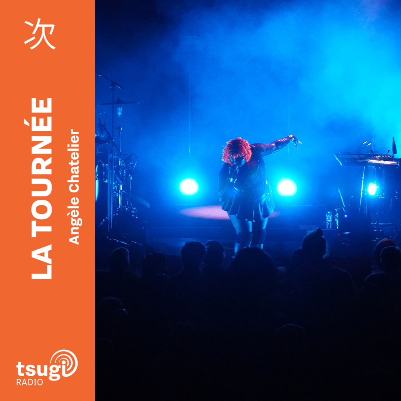 Banlieues Bleues avec Uzi Freyja et Twende Pamoja en live et Xavier Lemettre episode artwork