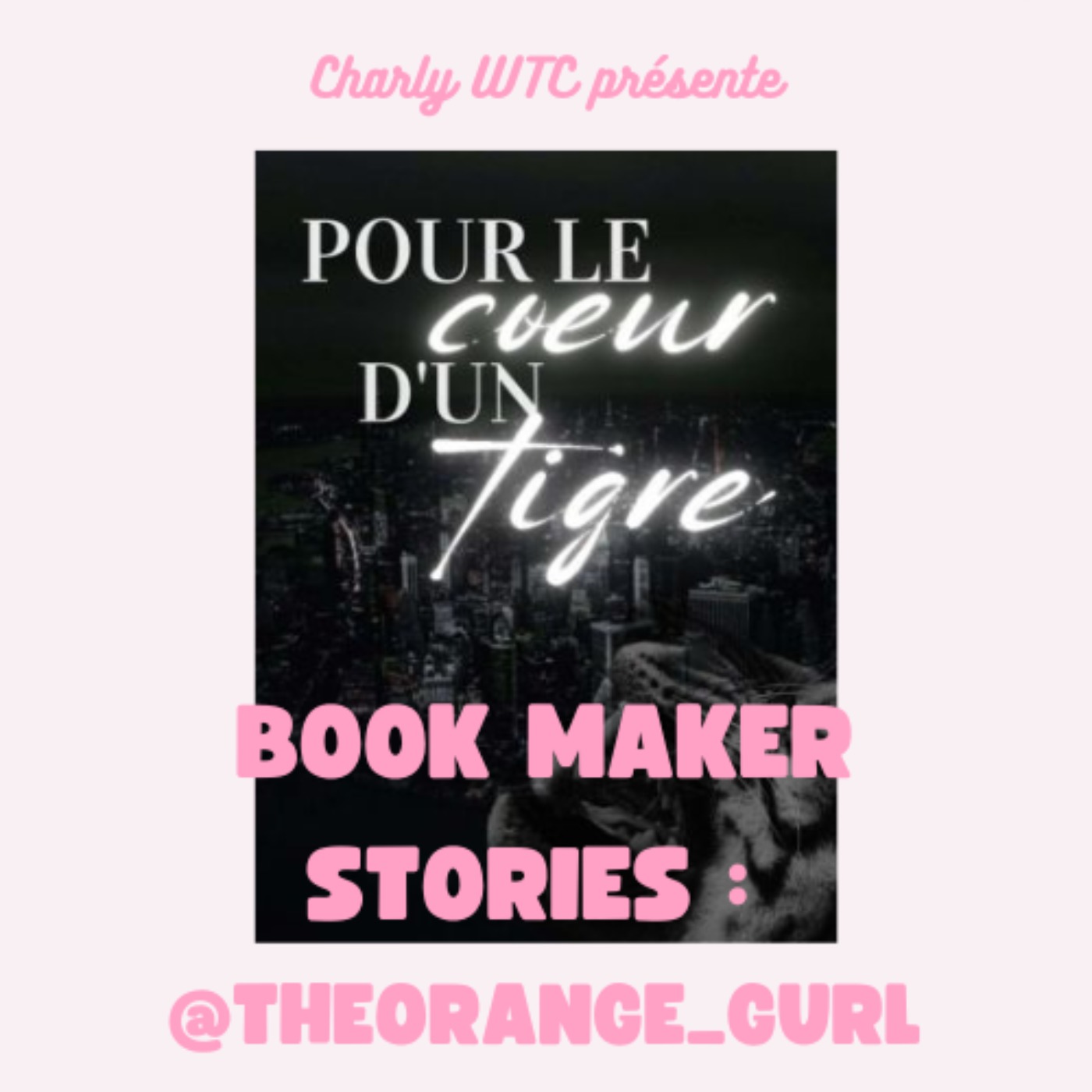 BOOK MAKER STORIES