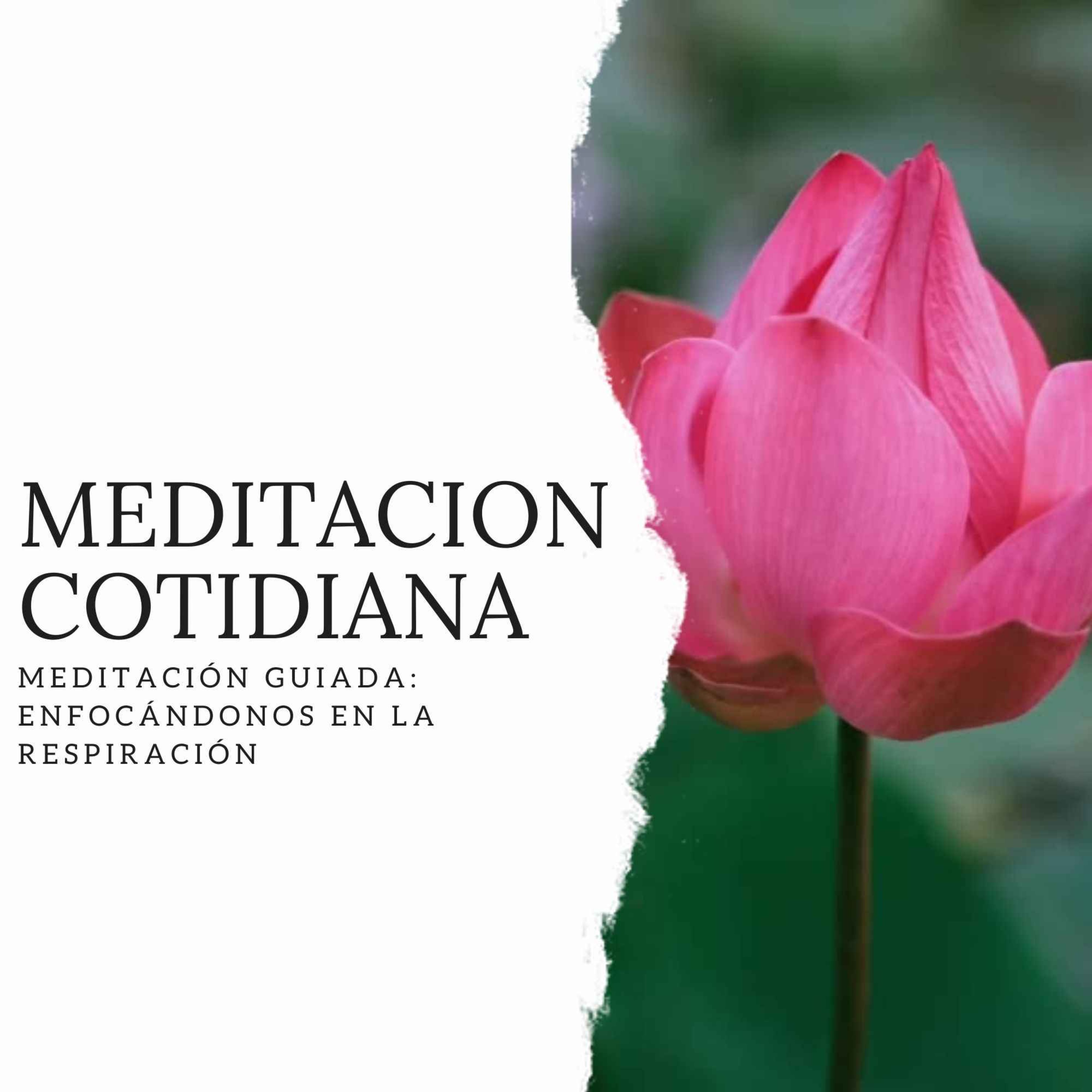 Meditación Cotidiana - Curso de Meditación
