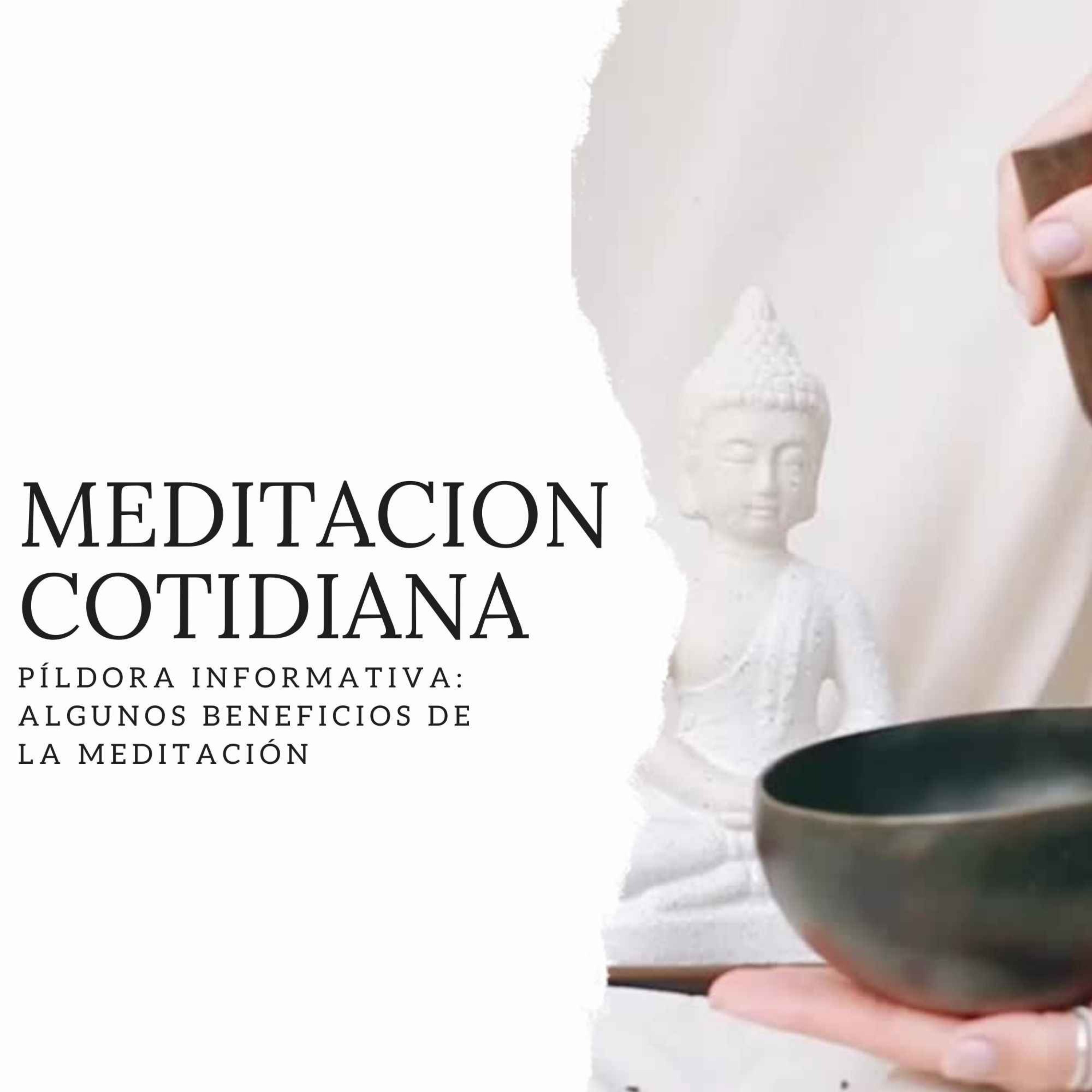 Meditación Cotidiana - Curso de Meditación