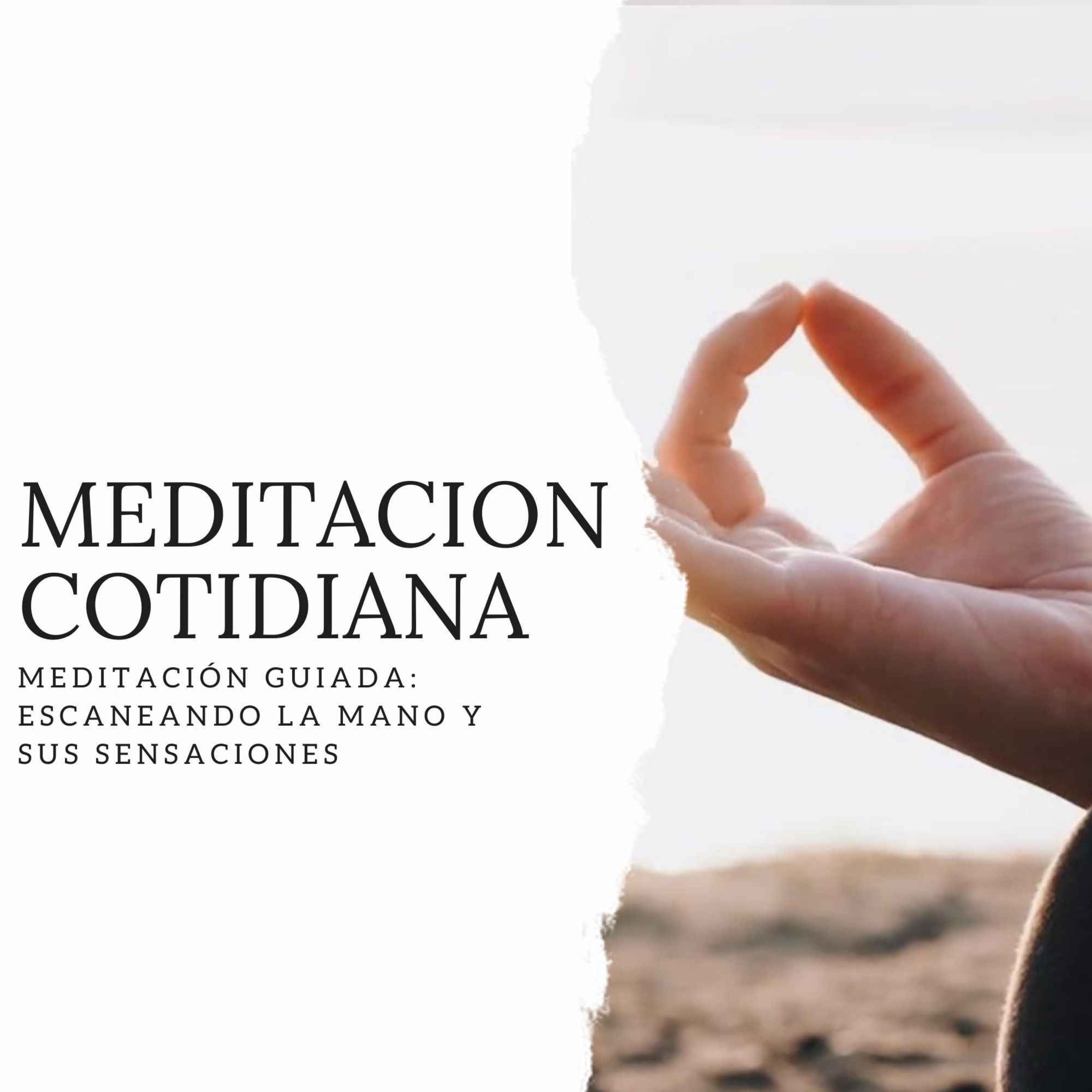 Meditación Cotidiana - Curso de Meditación