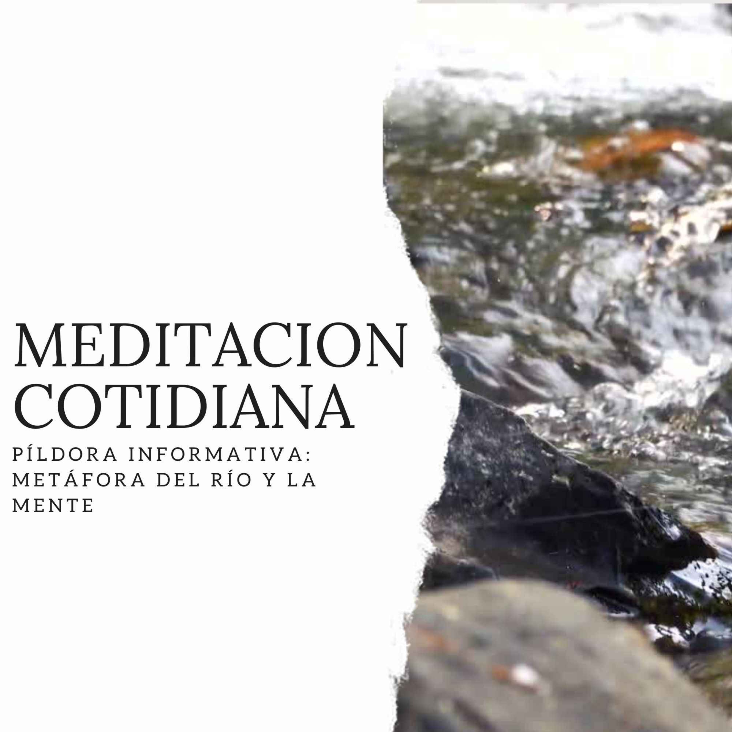 Meditación Cotidiana - Curso de Meditación