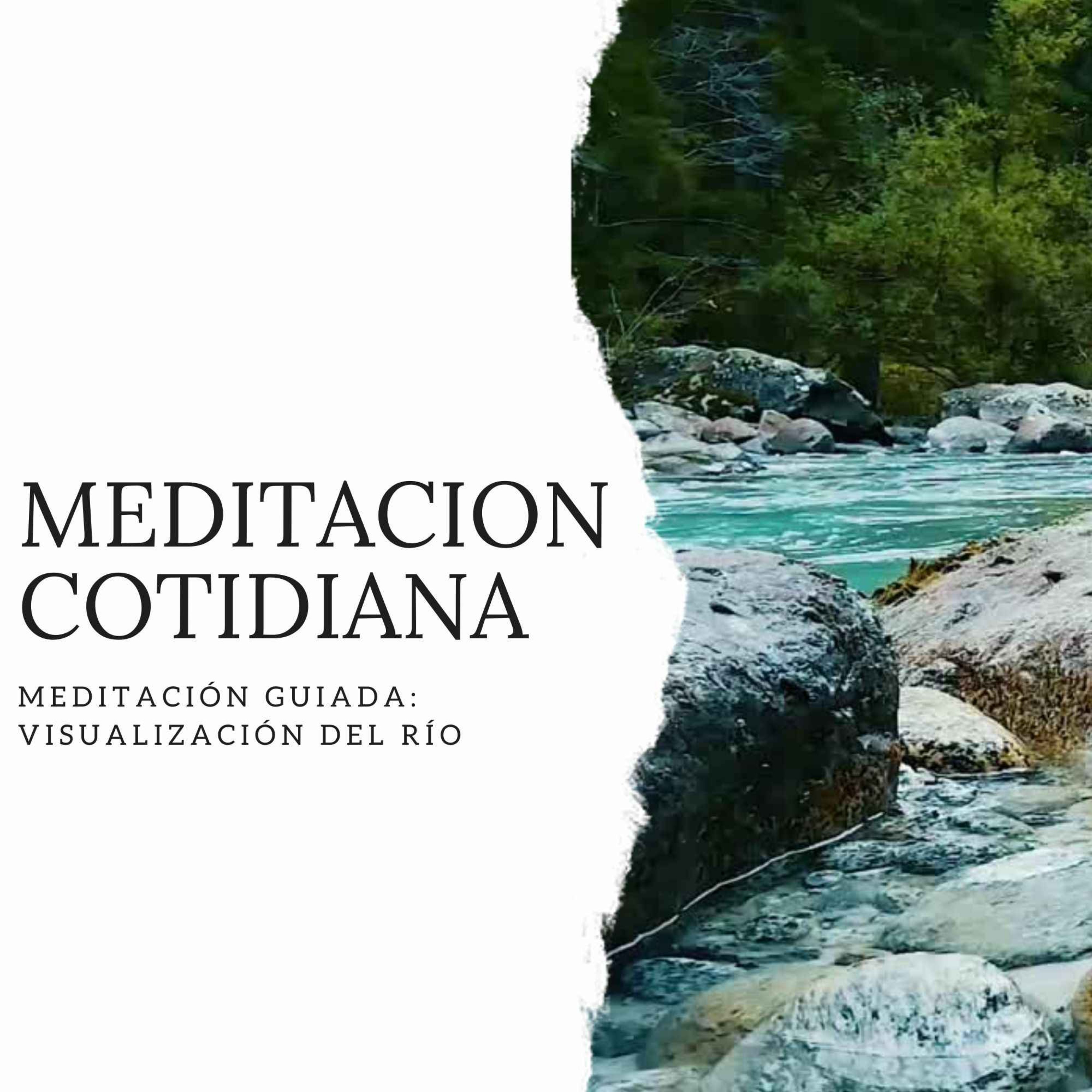 Meditación Cotidiana - Curso de Meditación