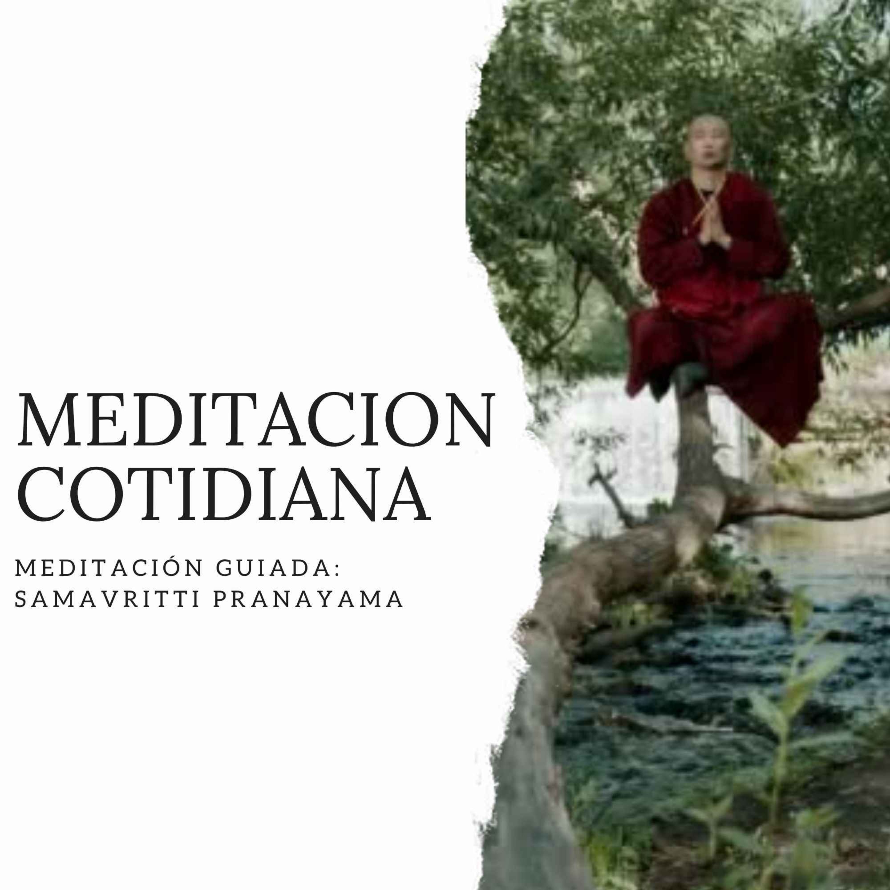 Meditación Cotidiana - Curso de Meditación