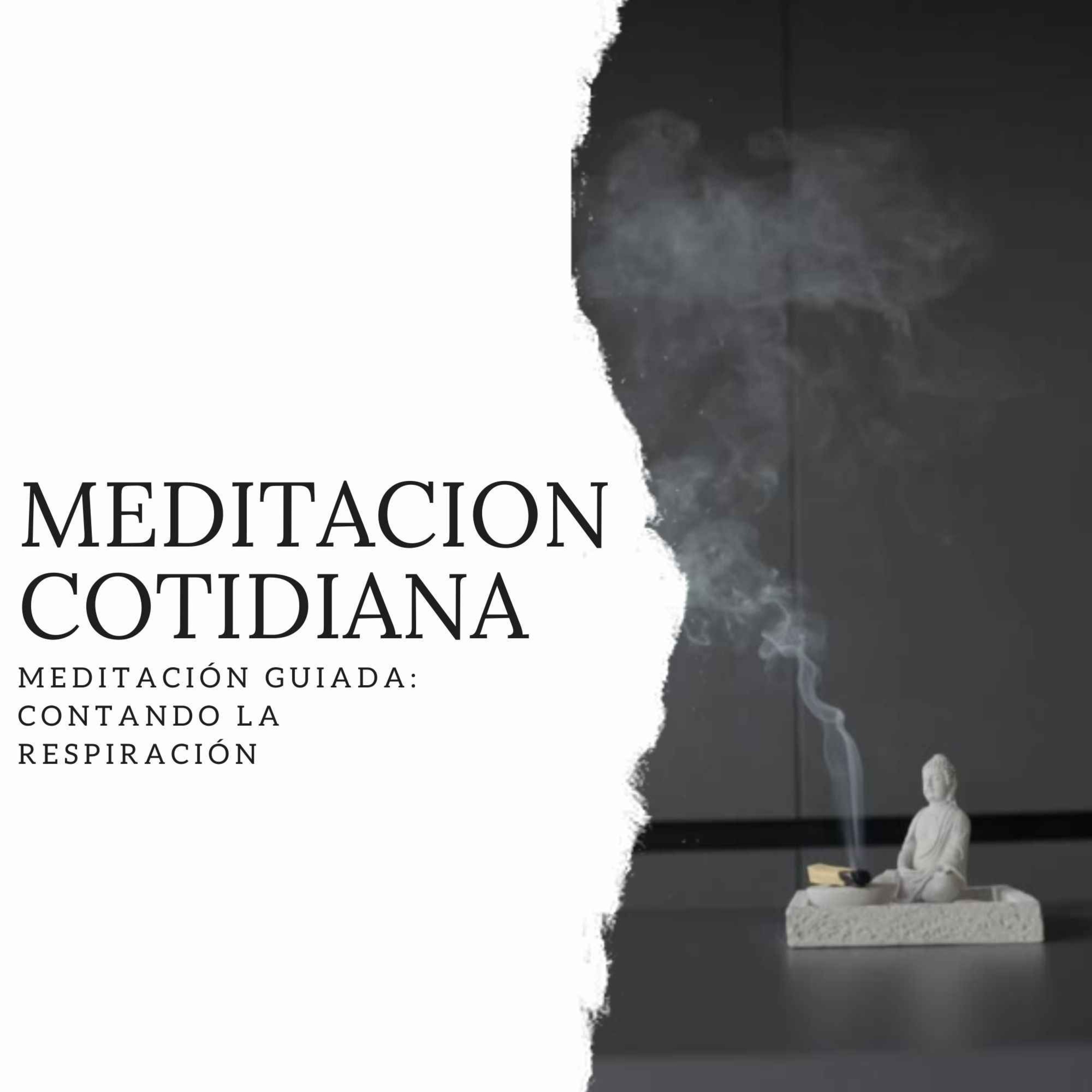 Meditación Cotidiana - Curso de Meditación