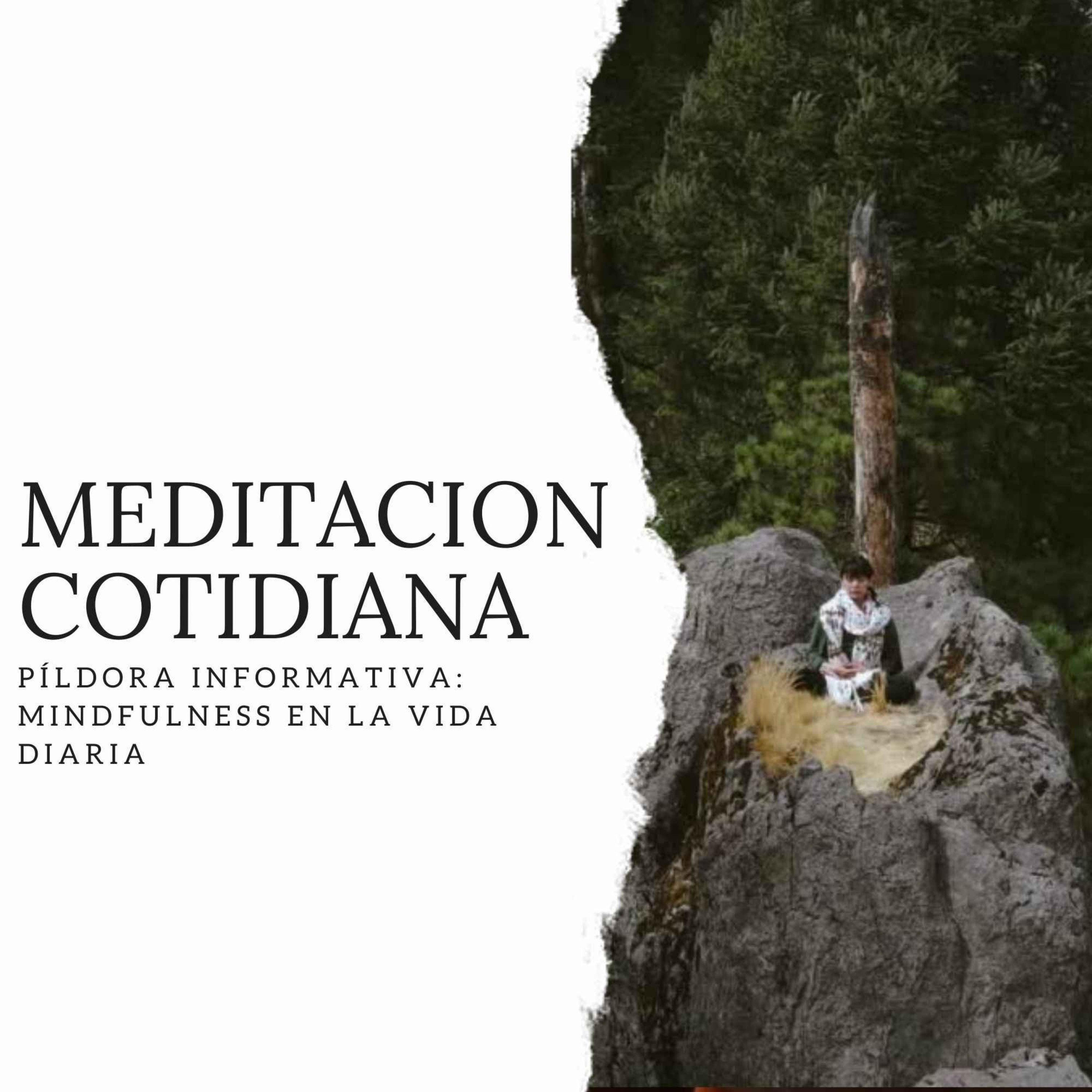 Meditación Cotidiana - Curso de Meditación