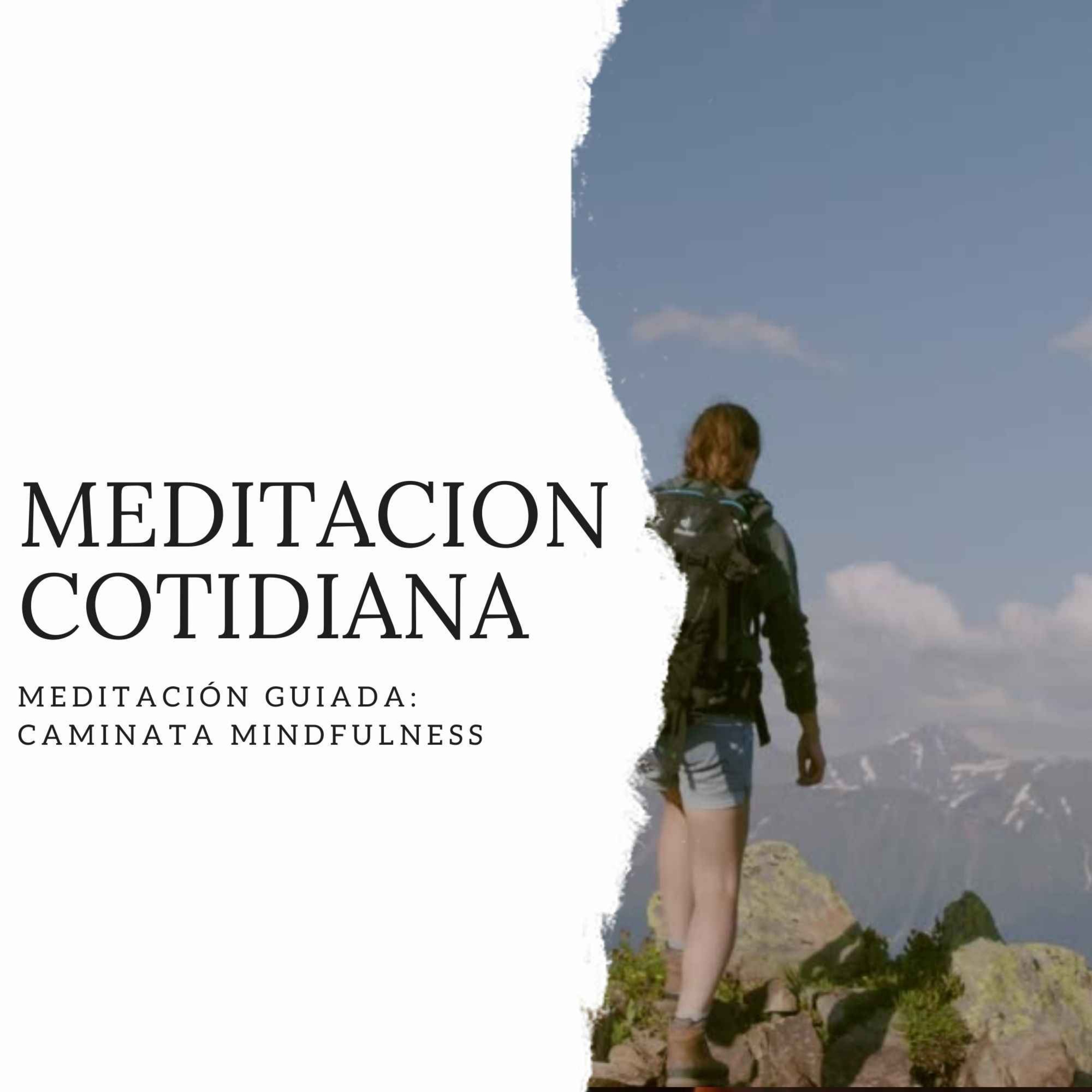 Meditación Cotidiana - Curso de Meditación
