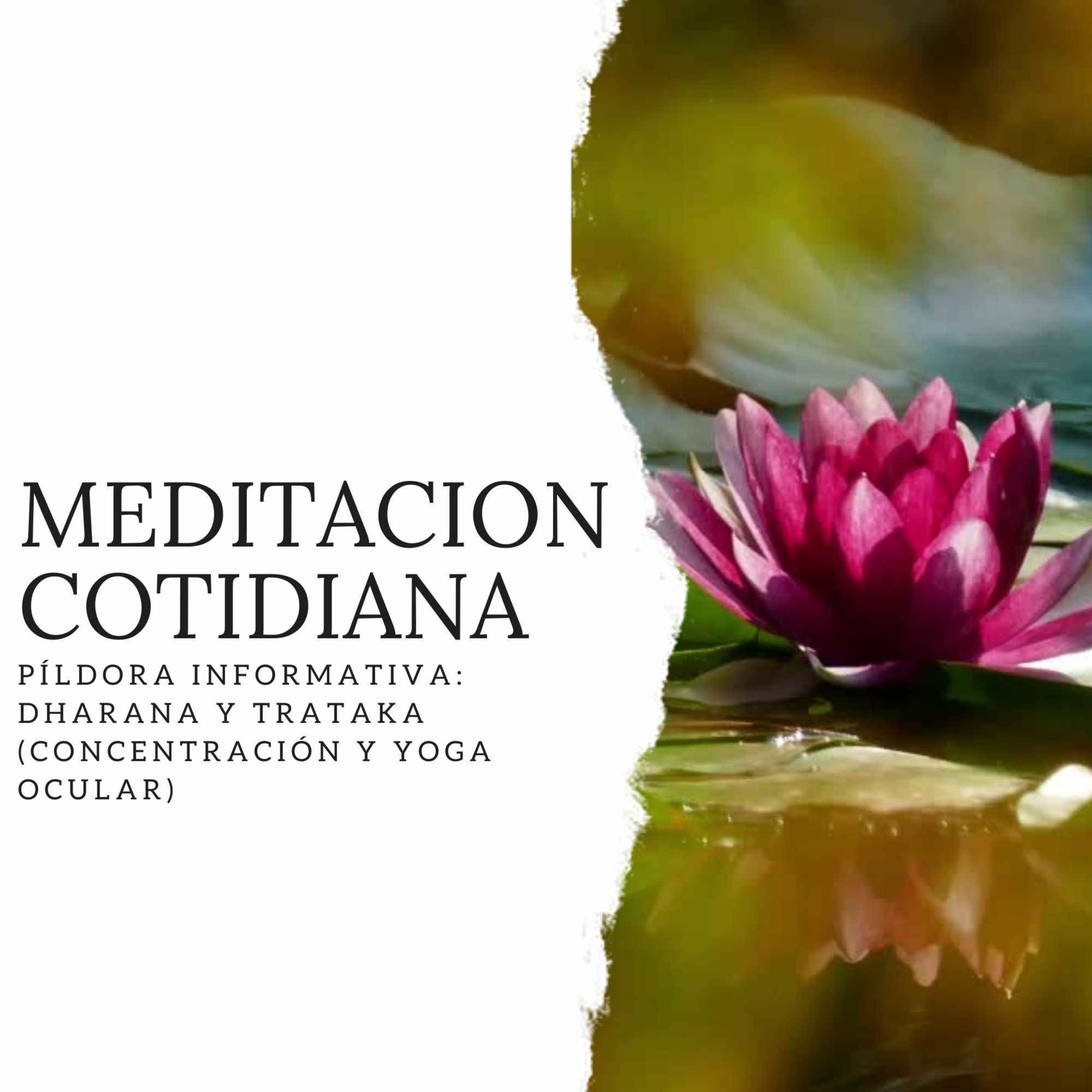 Meditación Cotidiana - Curso de Meditación