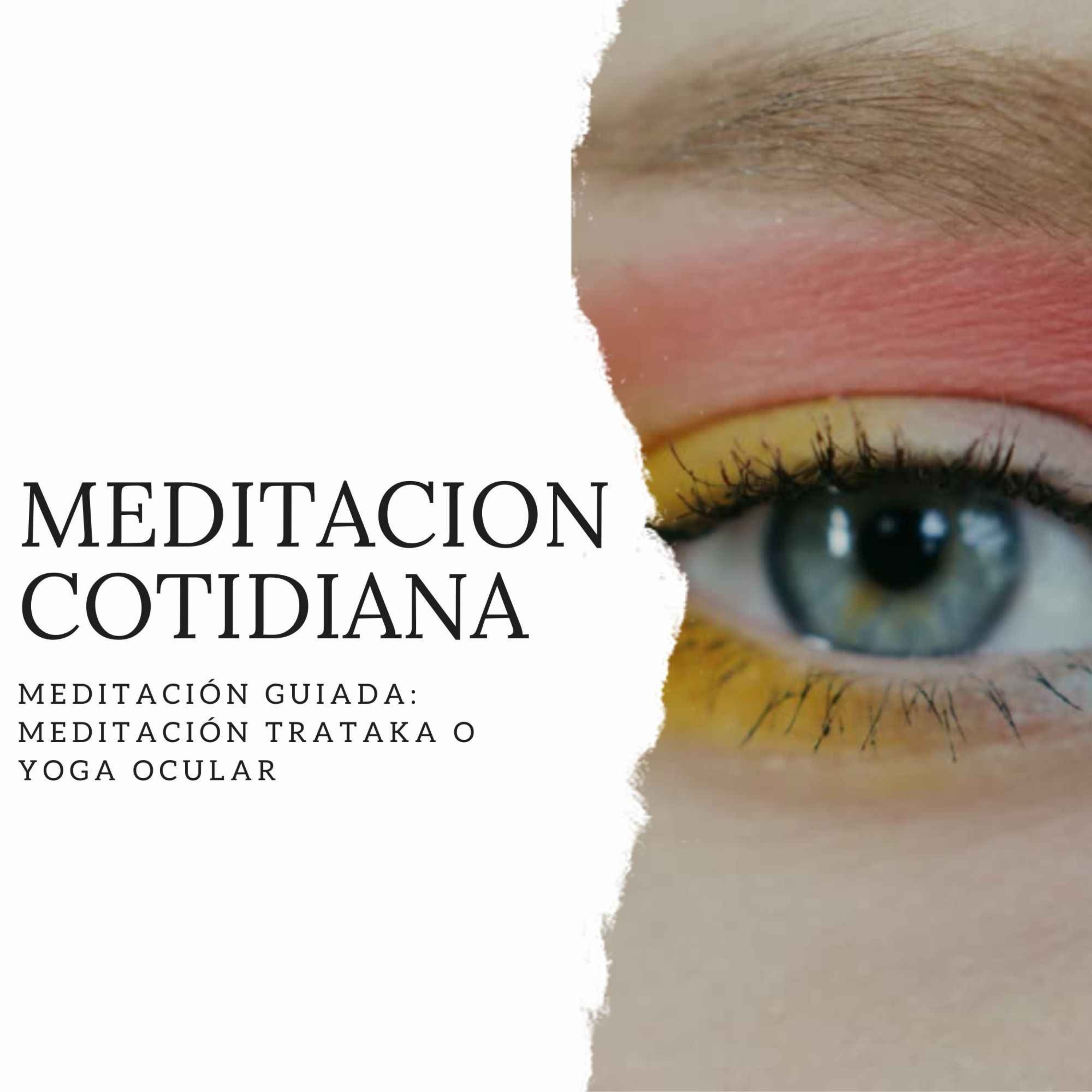 Meditación Cotidiana - Curso de Meditación