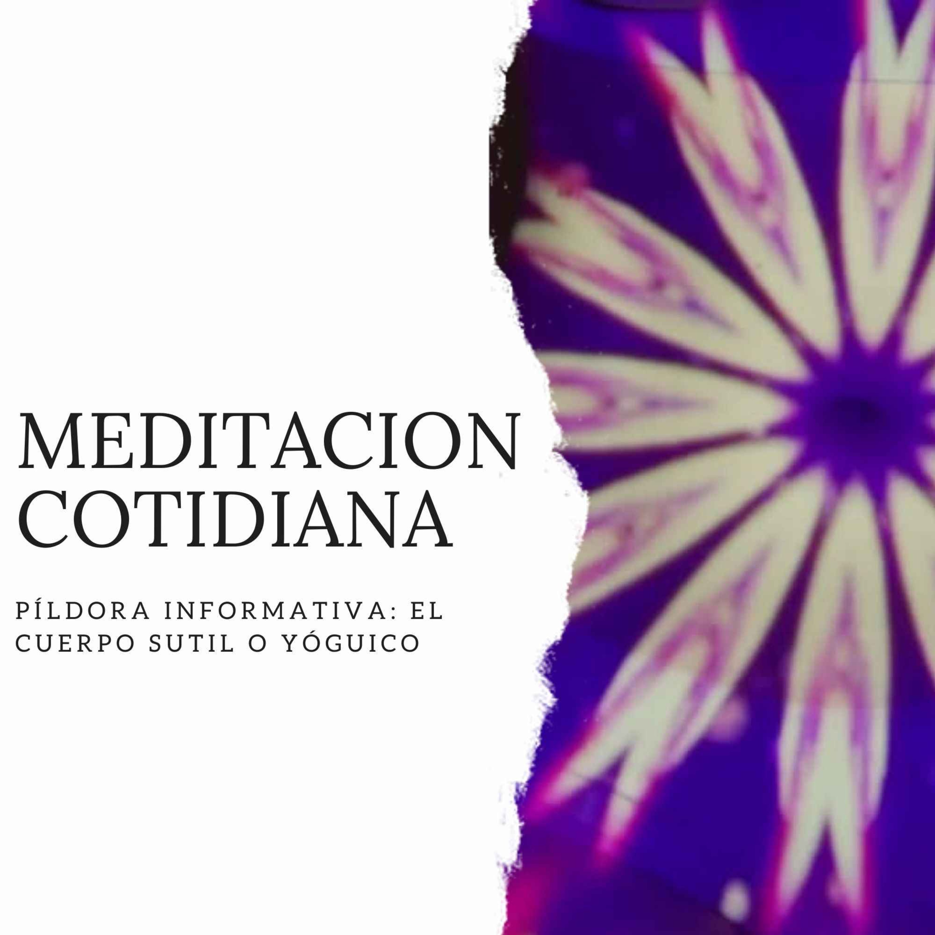 Meditación Cotidiana - Curso de Meditación