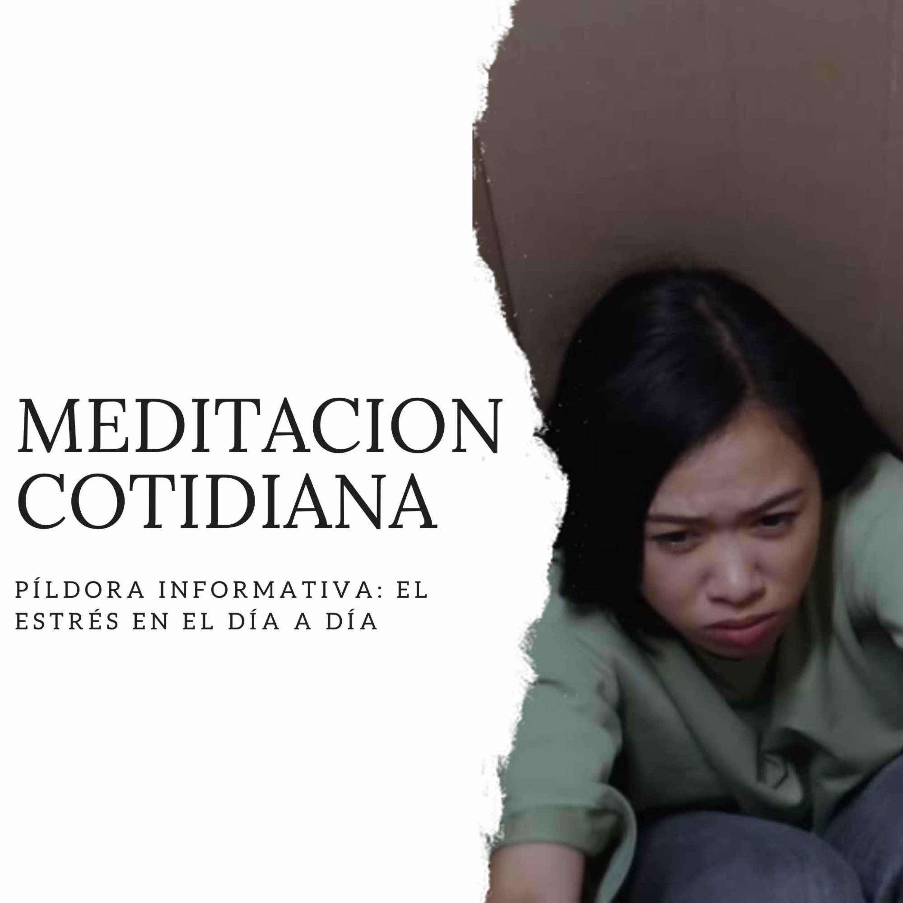 Meditación Cotidiana - Curso de Meditación